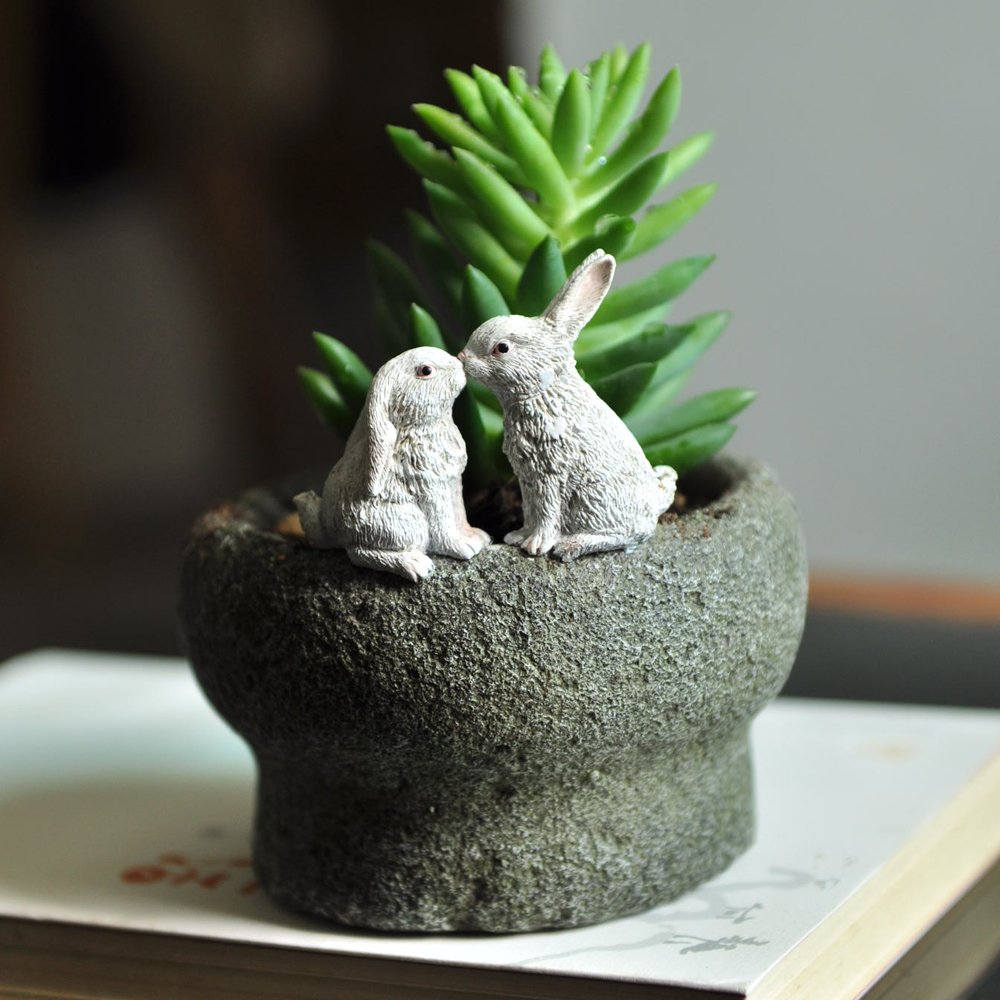 Amazon.com : Top Collection Miniature Fairy Garden and Terrarium