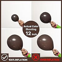 Vista 3 de PartyWoo - F20 - Globos para arco o guirnalda para decoraciones de fiestas, paquete de diferentes tamaños: 5, 10, 12, y 18 pulgadas, 100