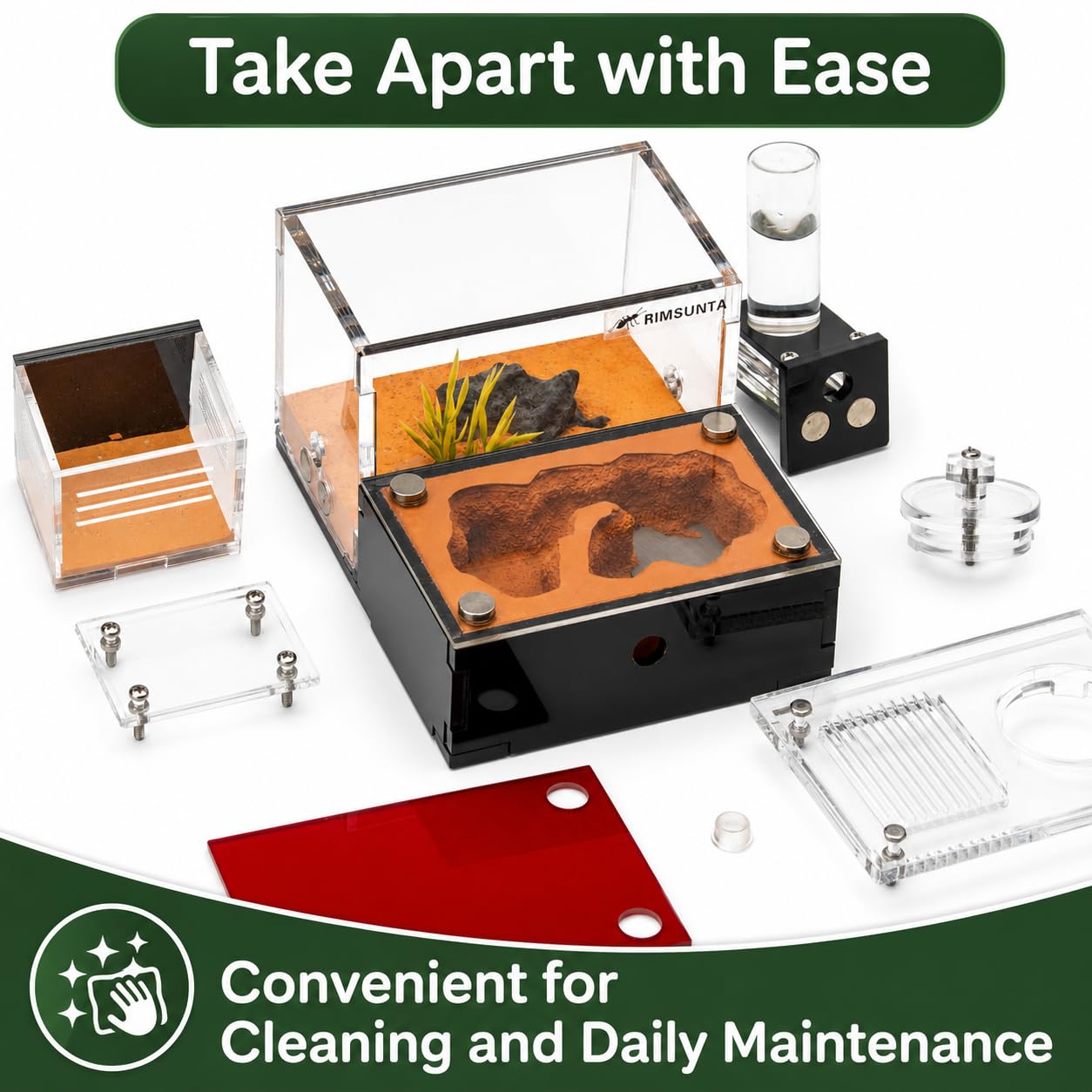 Formicarium - Hábitat de granja de hormigas para hormigas vivas y reinas, kit educativo para adultos para estudio y aprendizaje de comportamiento de hormigas