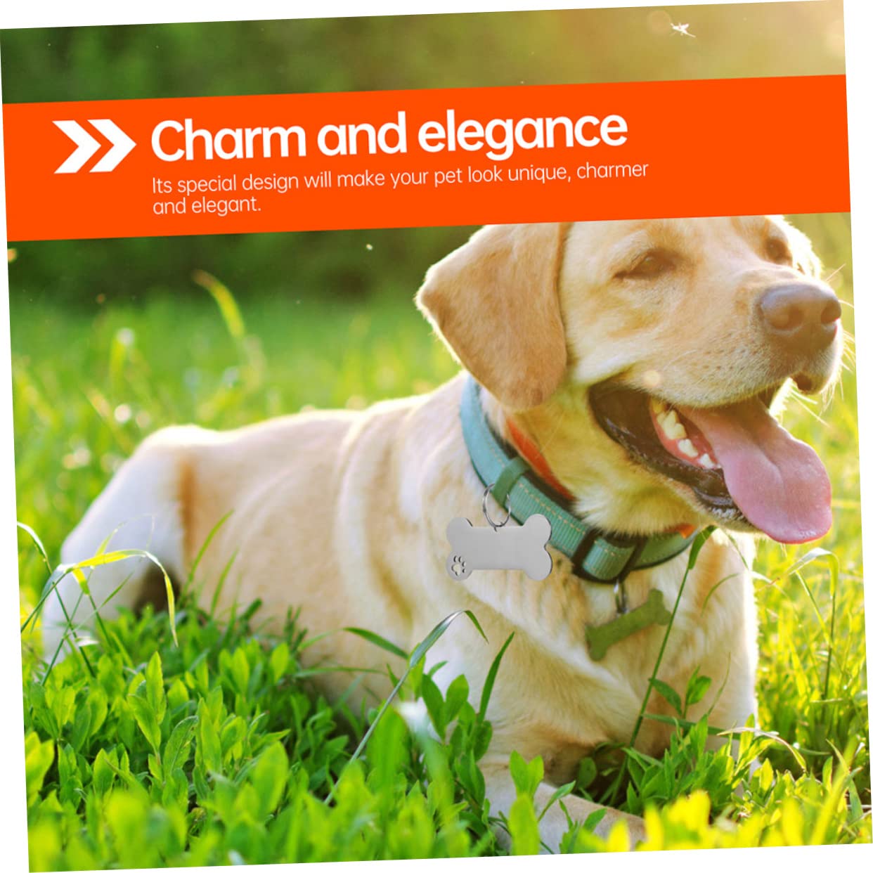 Toyvian 30 Stck Teiliges Hundemarken Gravierbare Haustier Id Anhänger Pfoten und Knochenform Geräuschloser Langlebiger Hundehalsband Zubehör für Hunde Katzen und Kleine Tiere