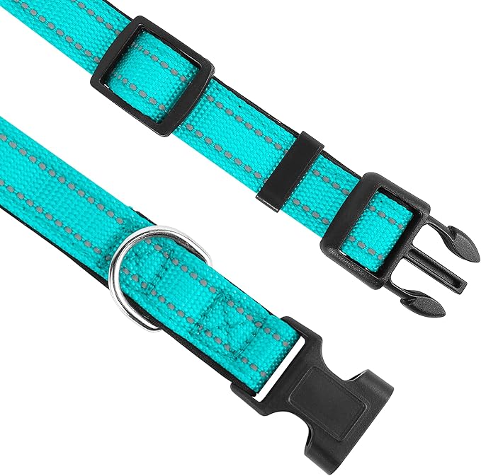 Collar Reflectante para Perro Medio, Acolchado de Neopreno, Nailon, Teal miniatura 3