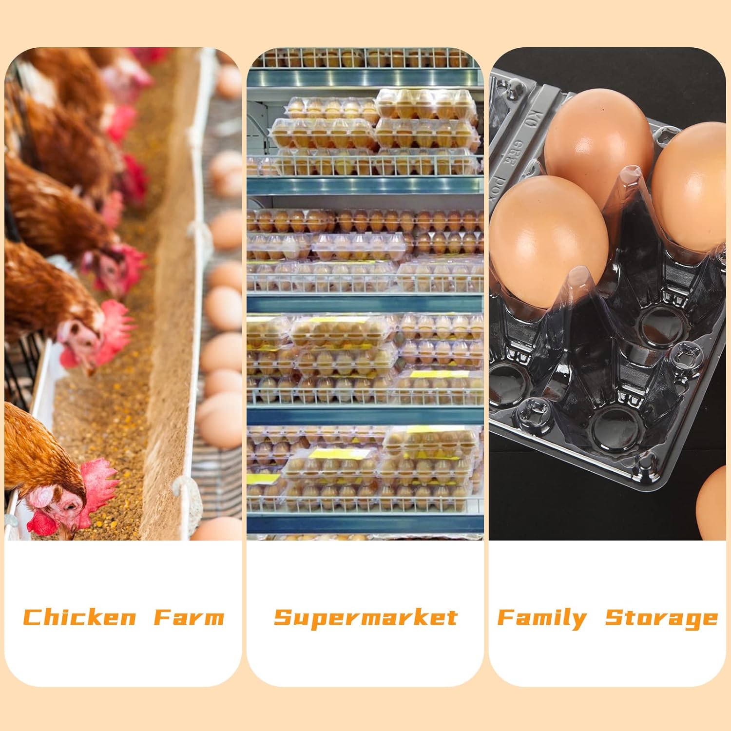 100PCS Plastic Egg Cartons Bulk 2x3 Egg Holders Style Holds 6 Eggs - Half Dozen Storage Perfect for Family Pasture, Groceries Chicken Farm, Refrigerator Storage