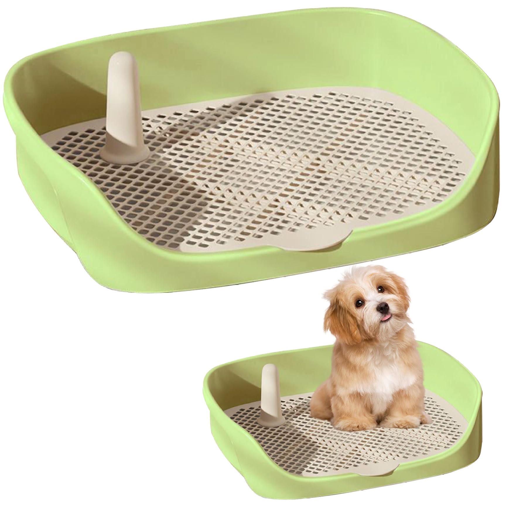 Bac de Toilettes pour Chiens 15.8x11.8x4.3 dans Un entraînement de Toilettes en Plastique sécurisé Amovible