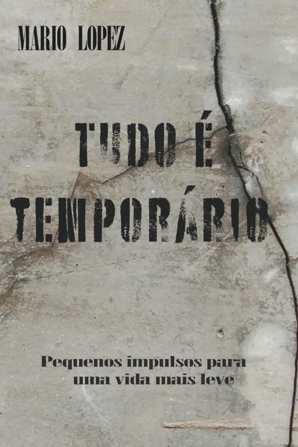 Tudo é temporário: Pequenos impulsos para uma vida mais leve