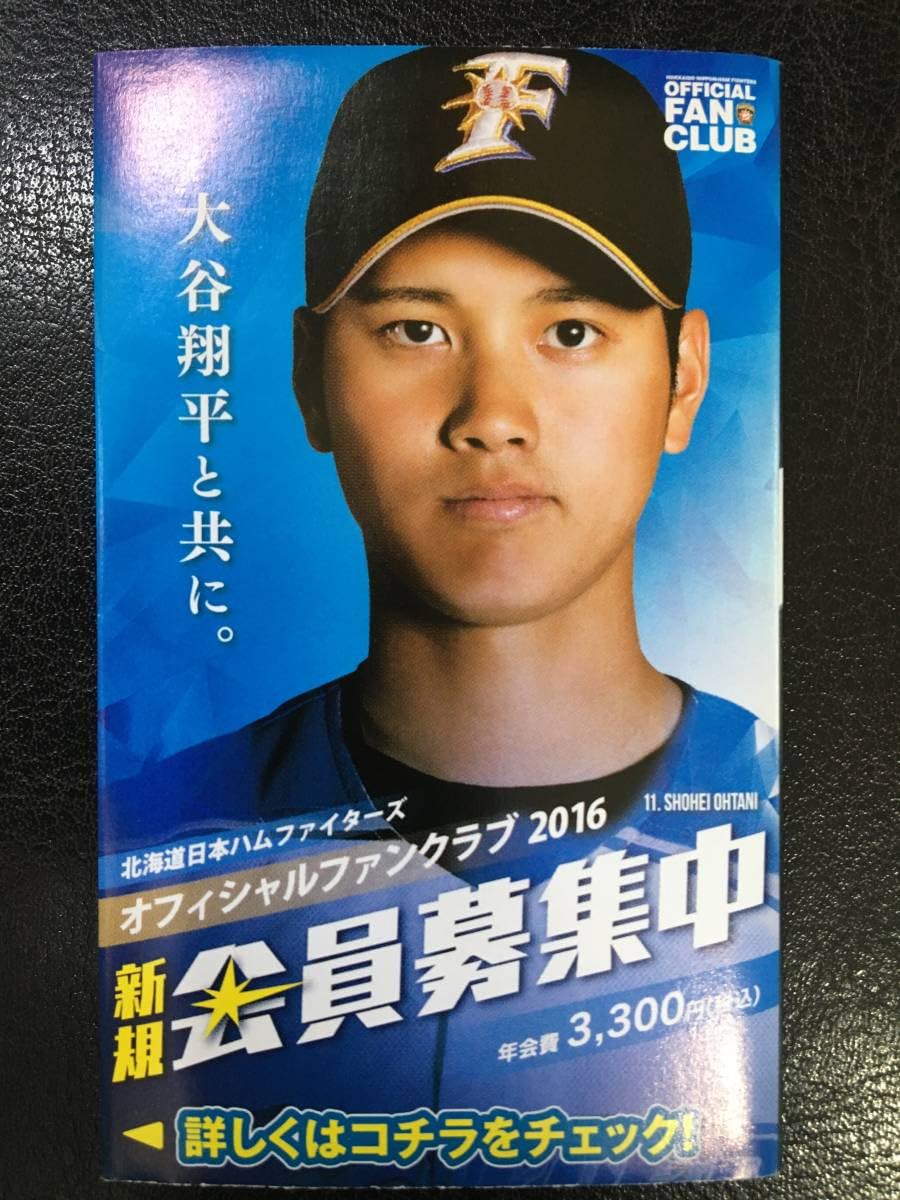北海道日本ハムファイターズ　日程表　大谷翔平　ルーキー　2013年 大谷翔平 日本ハムファイターズ 日程 大谷翔平 北海道日本ハム