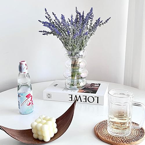 Miniatura 5 de BLOFLO - Florero hidropónico de vidrio transparente, florero de vidrio transparente iridiscente de 7 pulgadas, florero floral de vidrio geométrico