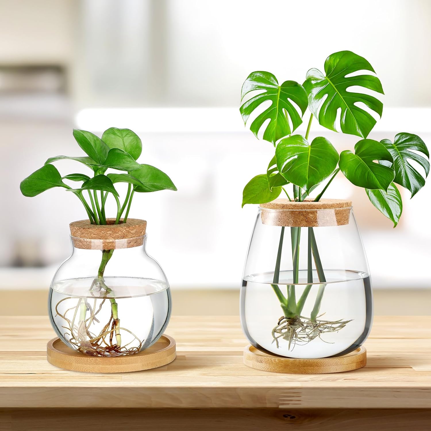 Layhit 4 Pcs Plants Propagation Stations vases Glass Planters with Wooden Lid and Bamboo Stand for Hydroponic Plants Gardening Gifts for Women Mom Home Office Tabletop Decoration(Lovely Style) image 2