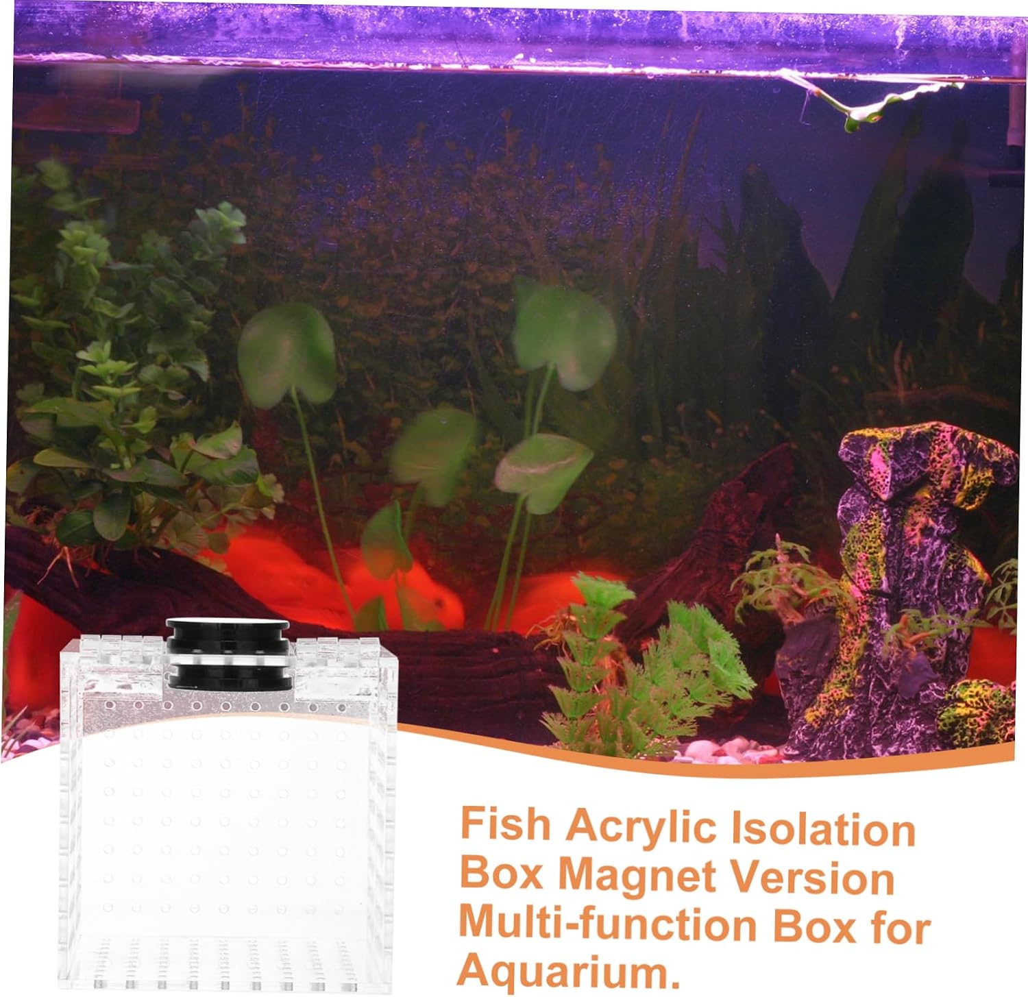 1pc Acrylic Fish Isolation Box Magnet Fish Breeding Container for Tank Hatching Hatchery for Isolating Fry Sick and Shrimp