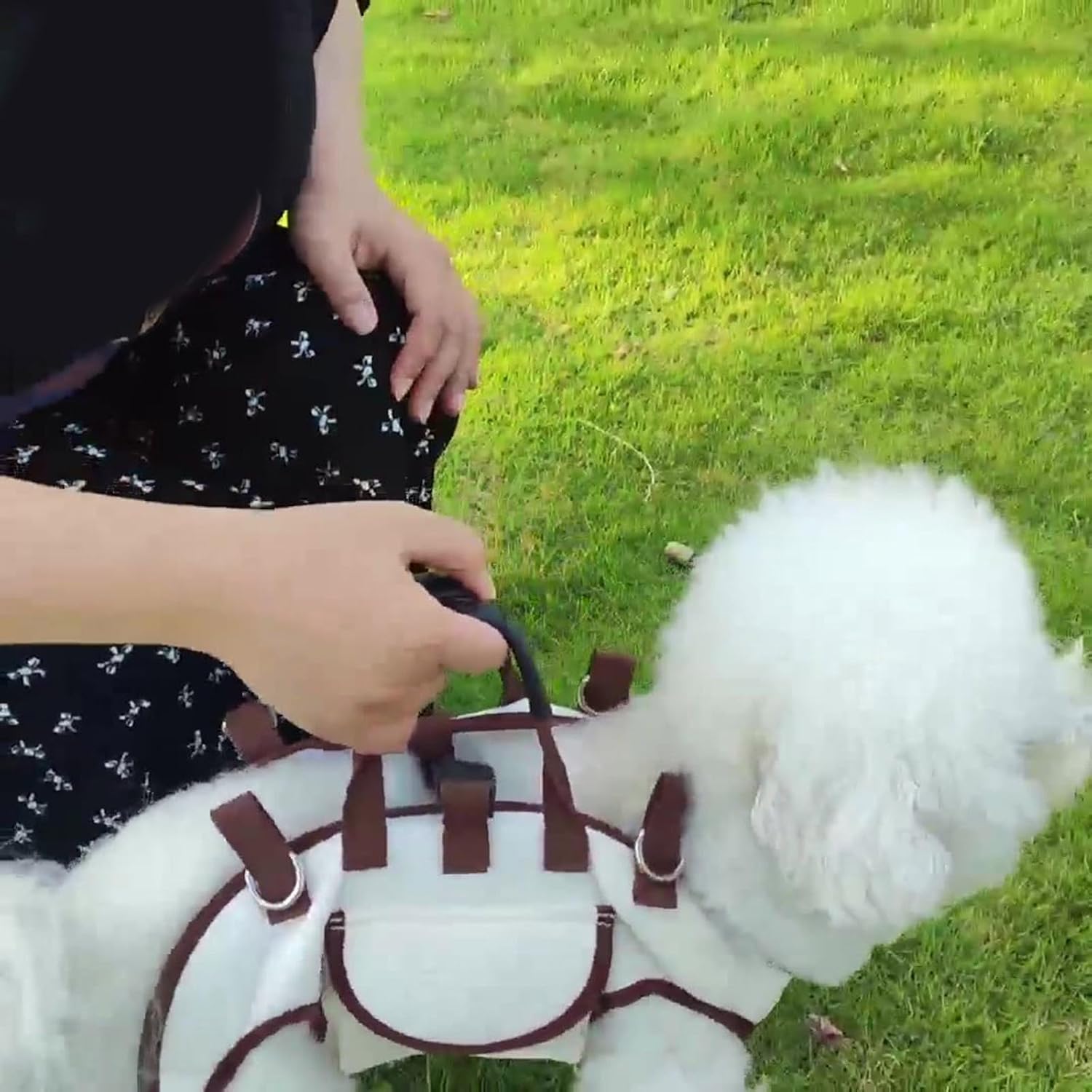 Thin Pet Carrier Bag Double Handle Crossbody Plan Ventilated Space Easy Neat Cloth Small Canines White Ventilated Dog Shoulder Bag