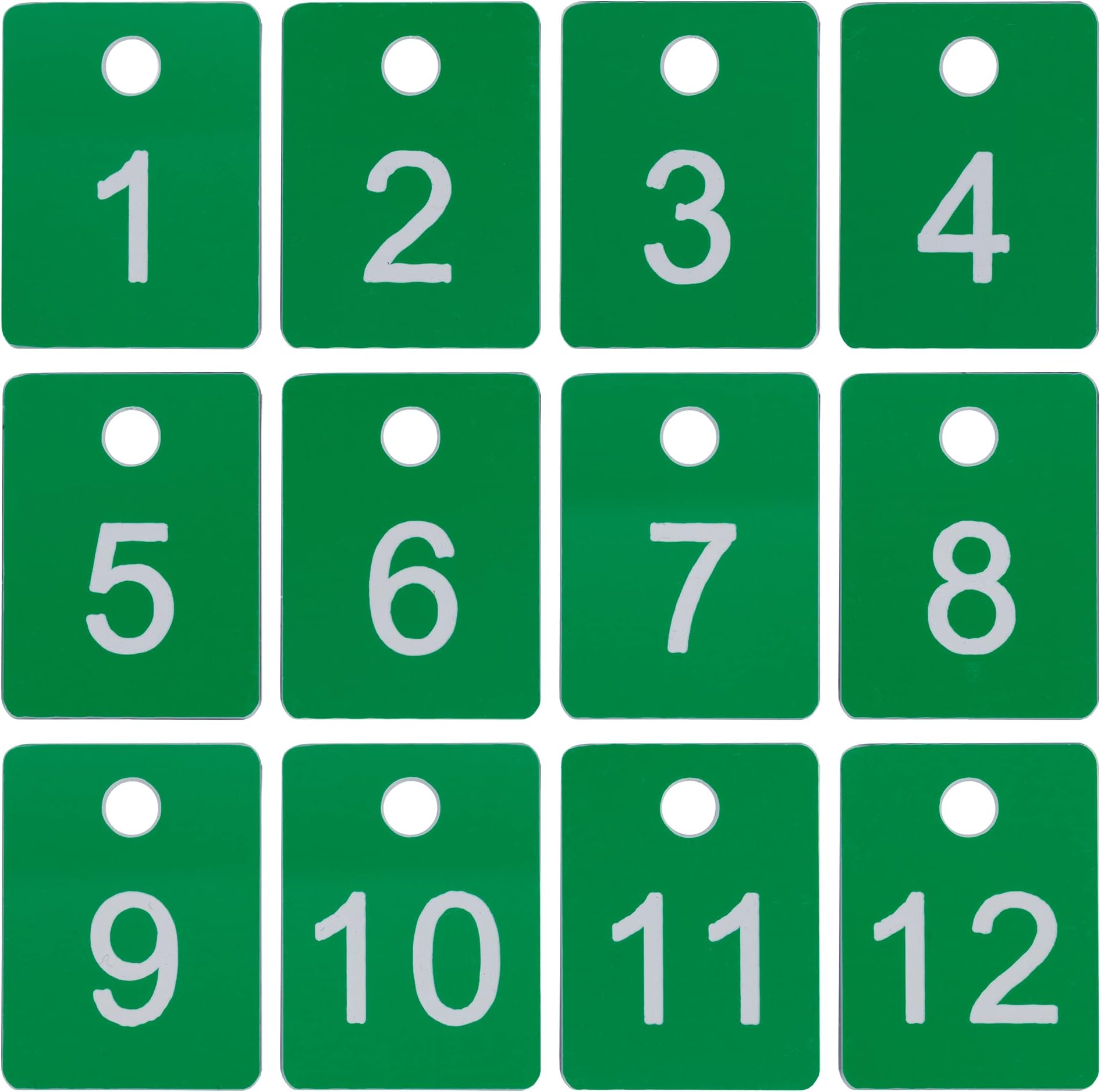 StayMax Plastic Numbered Tags Rectangle Key Number Tags Number Disc with Hole (1-100, Green)