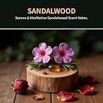 Car Air Freshener Hanging, 2 Pack Sandalwood Air Fresheners Diffuser for Car & Home, Odor Eliminator Car Freshener with Vent Clip, Long Lasting Up to 150 Days Car Freshener for Men & Women
