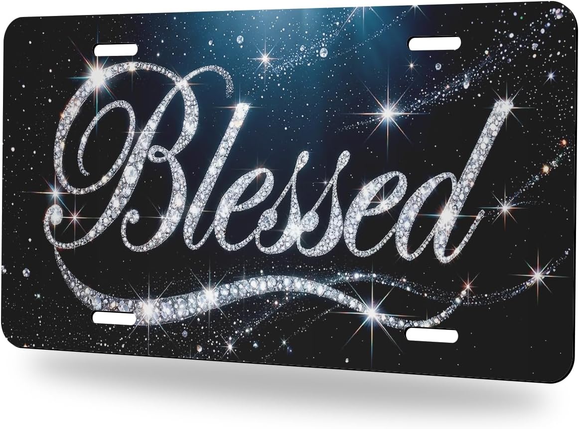 Cute Cat License Plate Summer Cat Tropical Beach Aluminum Metal Decor Accessory Novelty Vanity Tag Cover with 4 Holes 12×6 Inch Car Decor Accessory with 4 Holes for Men Women