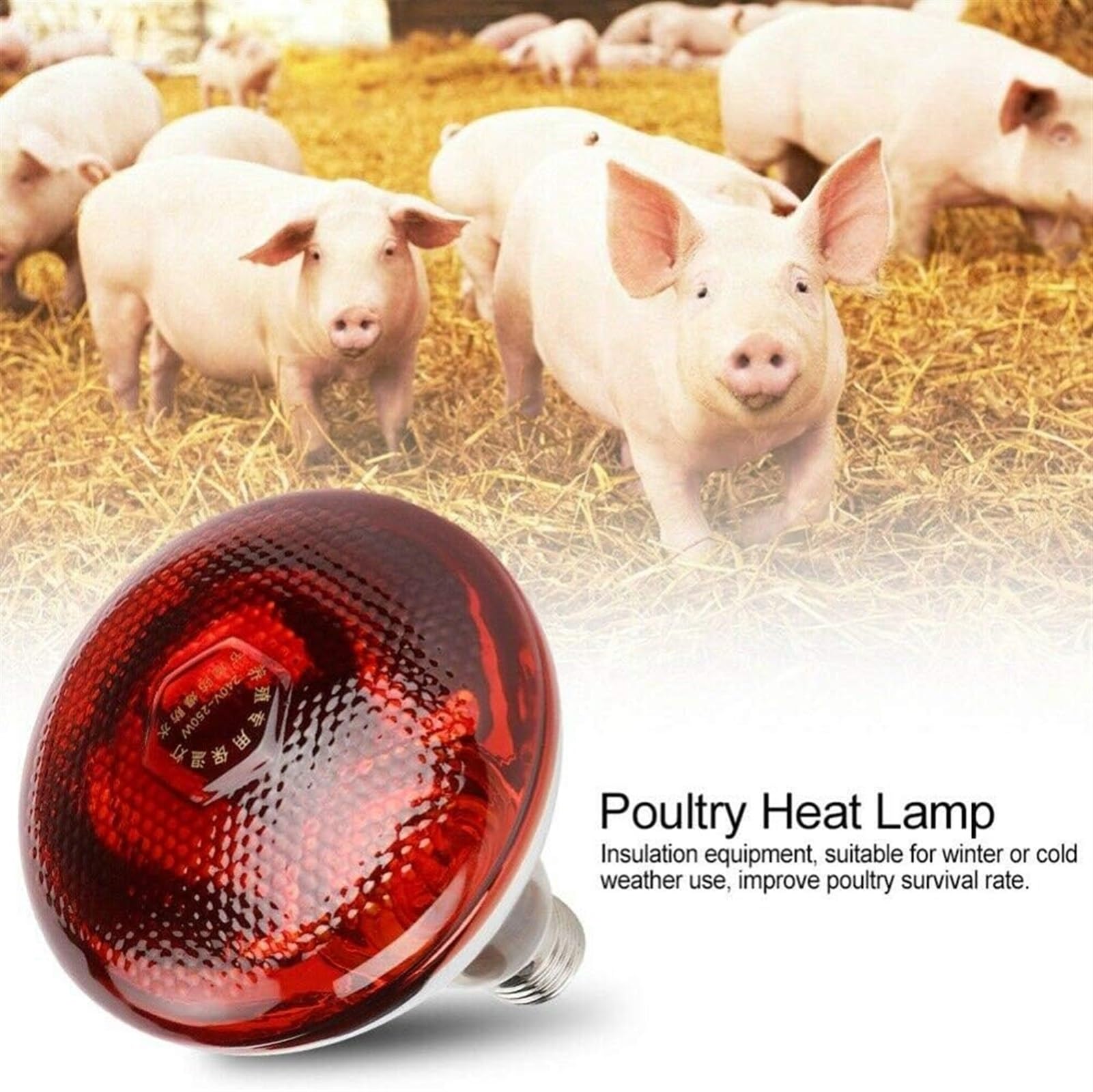Lampa ciepła dla zwierząt domowych, lampa ciepła na podczerwień dla piskląt, czerwona żarówka do lamp grzewczych, żarówka ciepła dla drobiu typu E27, idealna dla szczeniąt, jagniąt, c