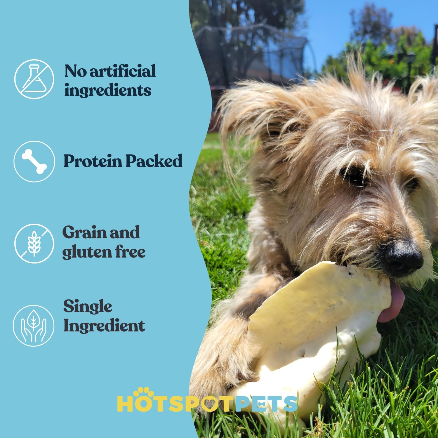 hotspot pets All-Natural Beef Cow Ears Dog Chews (10 Pack) Long-Lasting,Low Odor, Single Ingredient Treat for Healthy Teeth & Gums, Perfect for Dogs