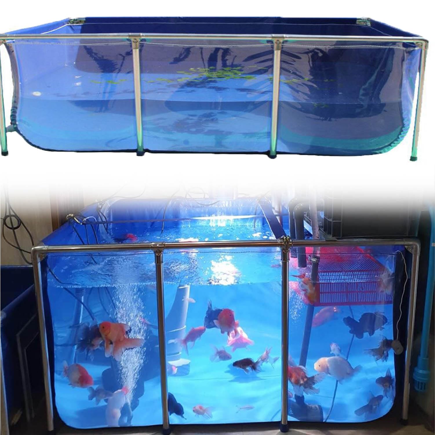 Acuario grande con revestimiento de PVC resistente y estructura de acero para peces dorados