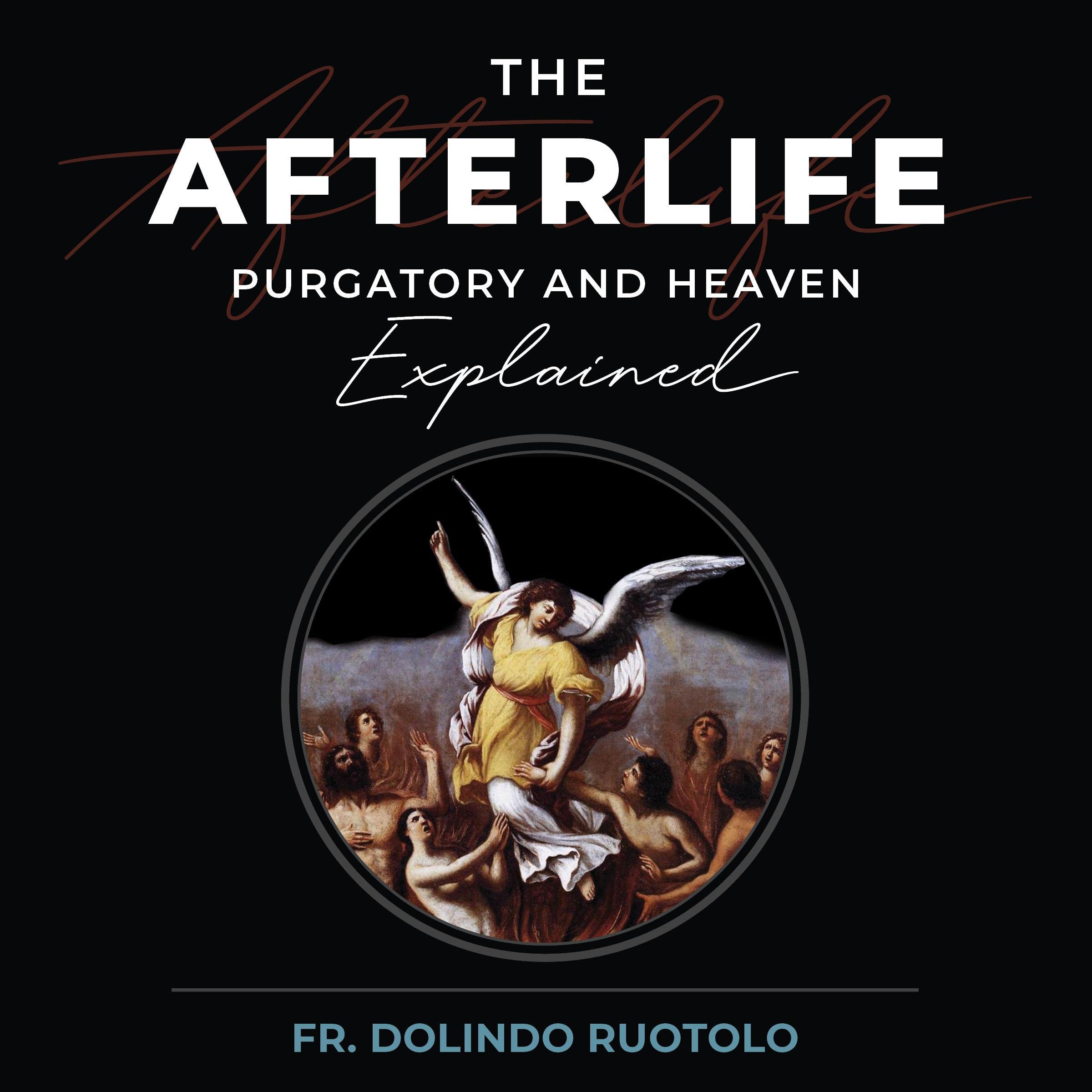 Cover art for The Afterlife
