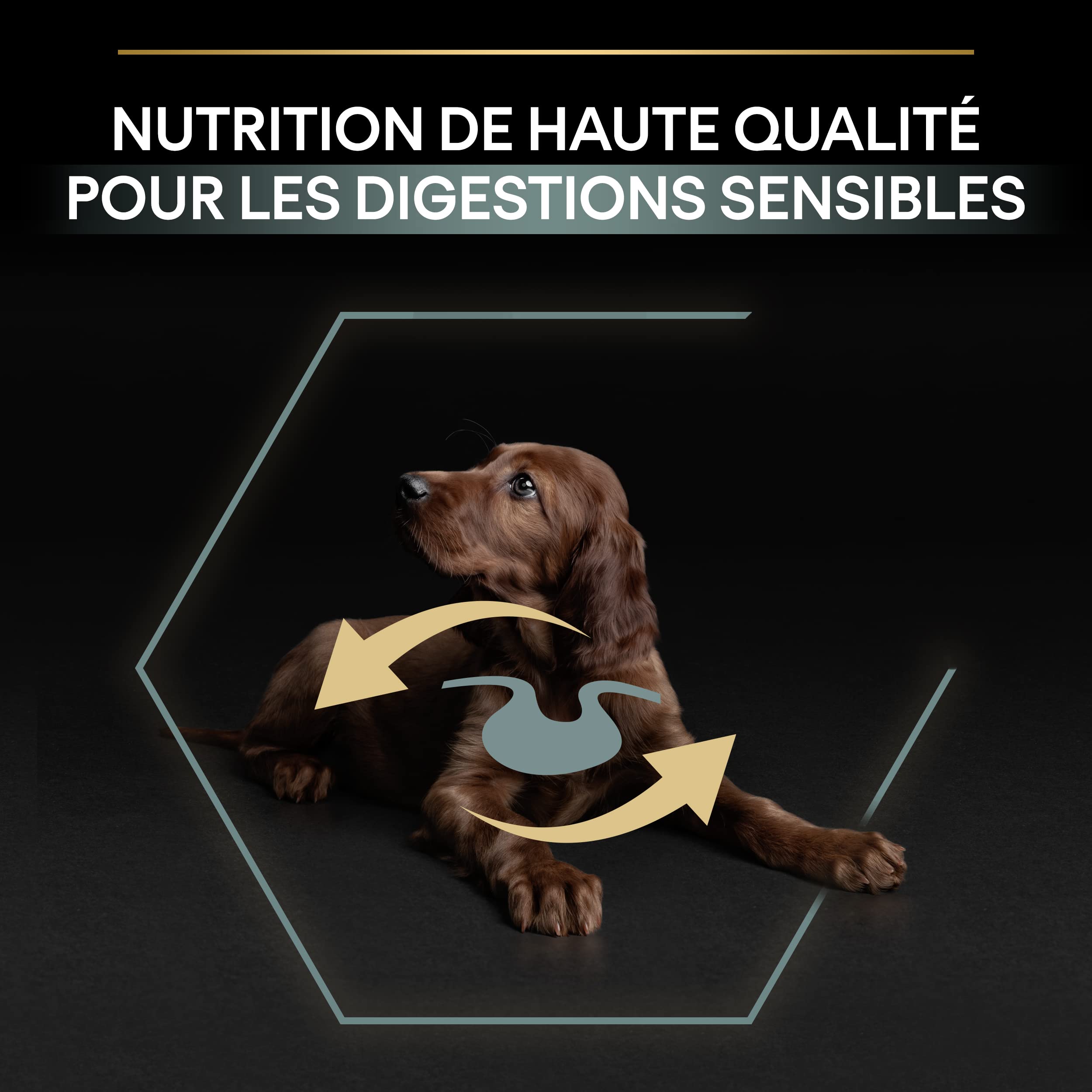 PURINA PRO PLAN | Sensitive Digestion | Croquettes complètes pour chiot de grande taille & corpulence athlétique | Favorise un système digestif sain | Riche en Agneau | Croquettes | Sac de 12kg
