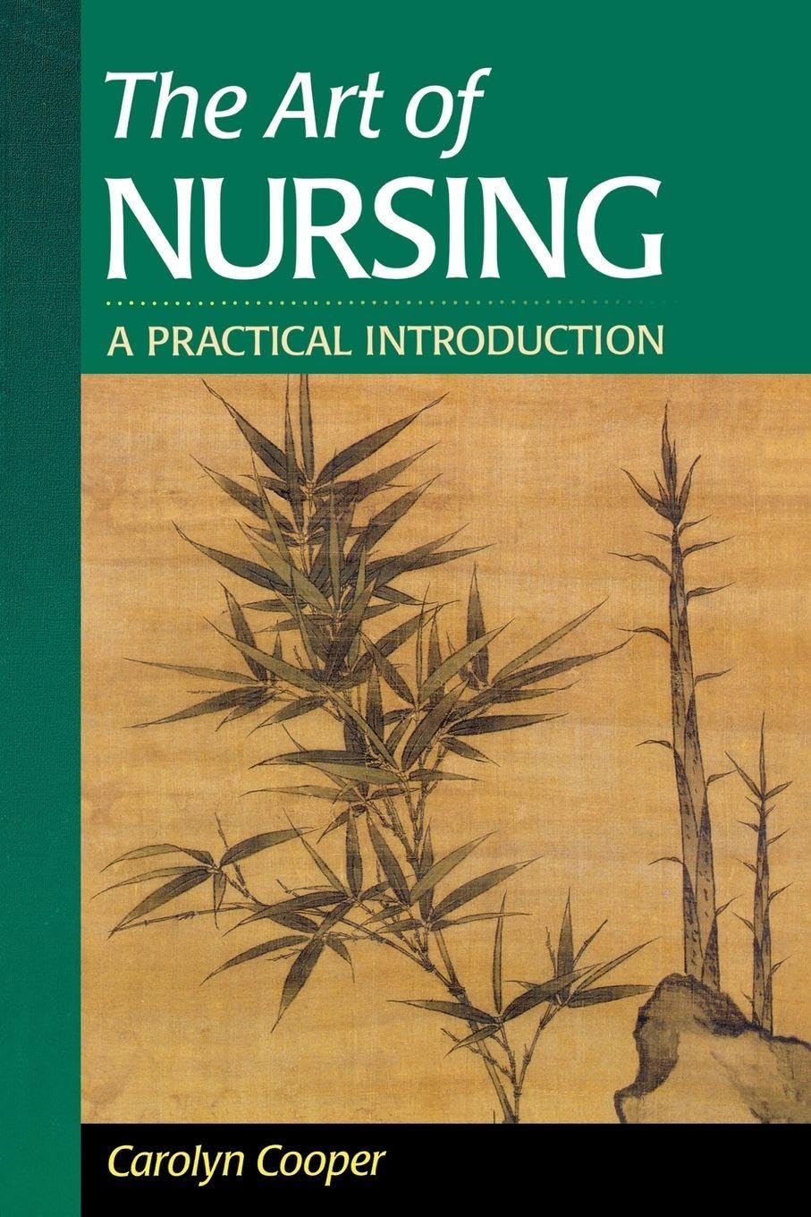 The Art of Nursing: A Practical Introduction: Cooper PhD RN