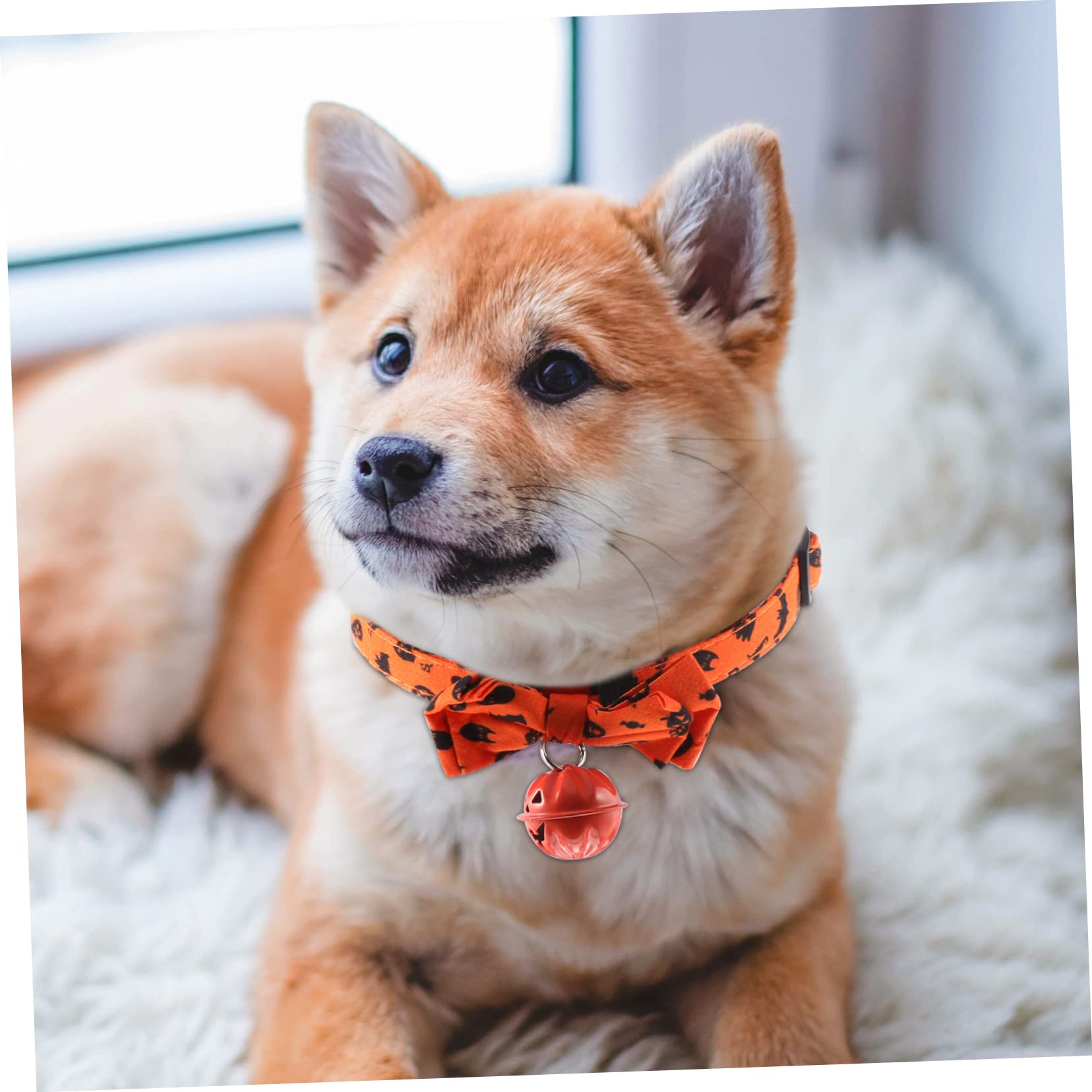 Happyyami 5stücke Halloween Katzenhalsband Mit Verstellbarem Bowknot Stilvolles Und Bequemes Haustierhalsband Für Feiertage Für Hunde Und Katzen Leuchtenden Farben Und Charmantem Design