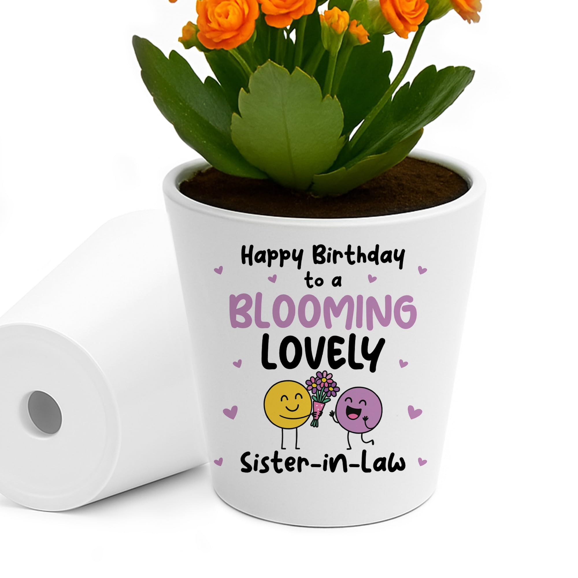 Red Ocean Birthday Gifts for Sister in Law Plant Pot Friendship Keepsake Sister in Law Birthday Gifts Thank You for Her Blooming Lovely Present
