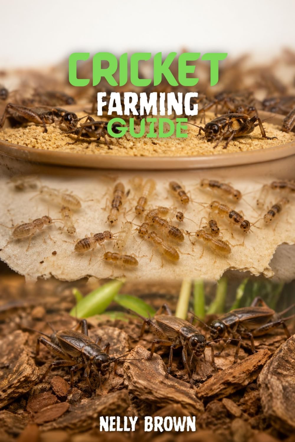 Cricket Farming Guide: 7 Simple Steps to Raise Healthy Crickets and Build a Profitable Small Farm
