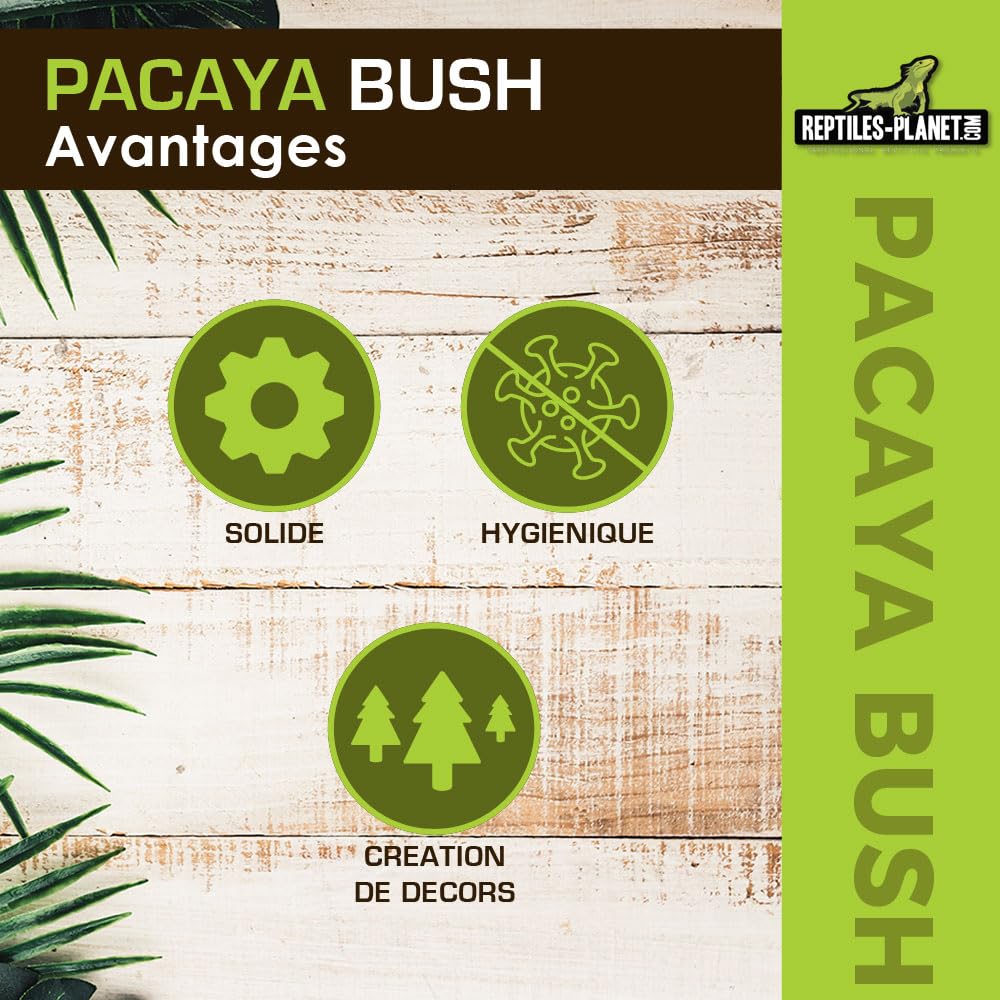 REPTILES PLANET - Pacaya Bush- Plante Artificielle - Décoration pour Terrarium - 20 cm