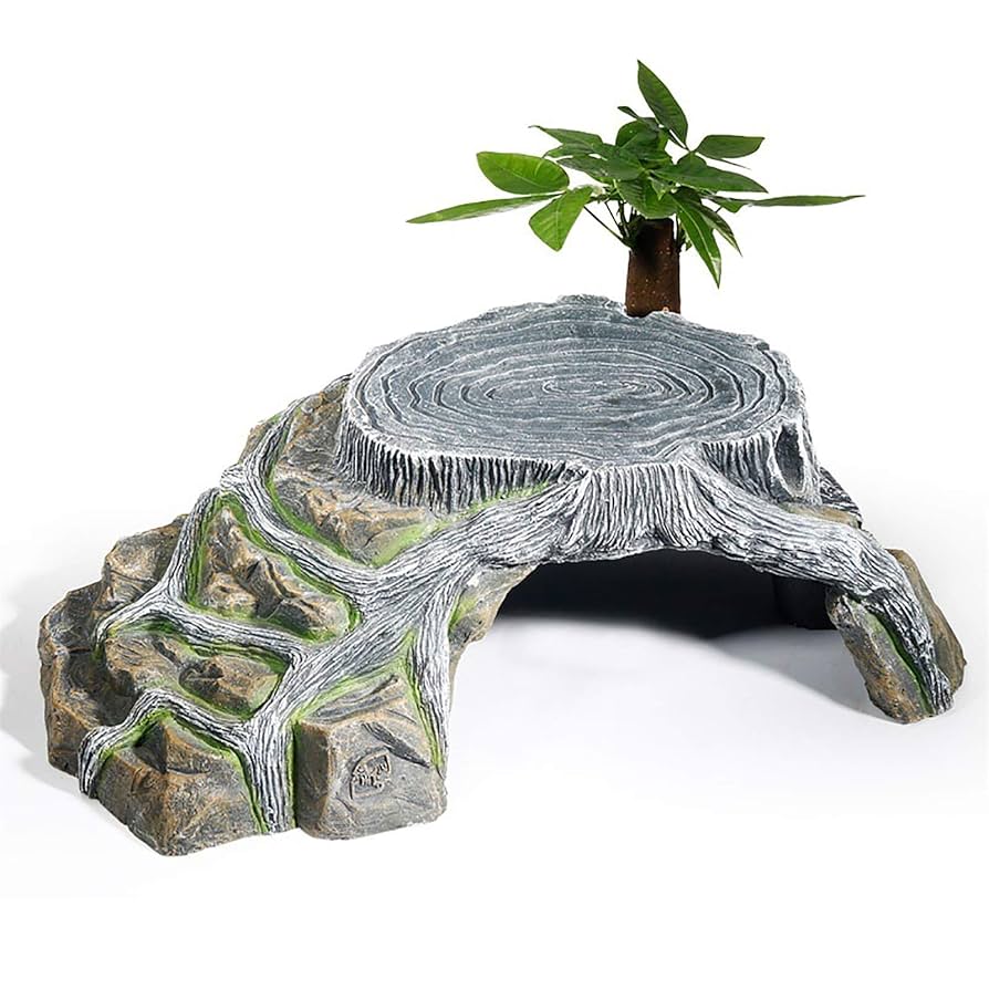 爬虫類 ウェットシェルター 24 楽天市場】ウォーターシェルター(最新式 ウェットシェルター) L