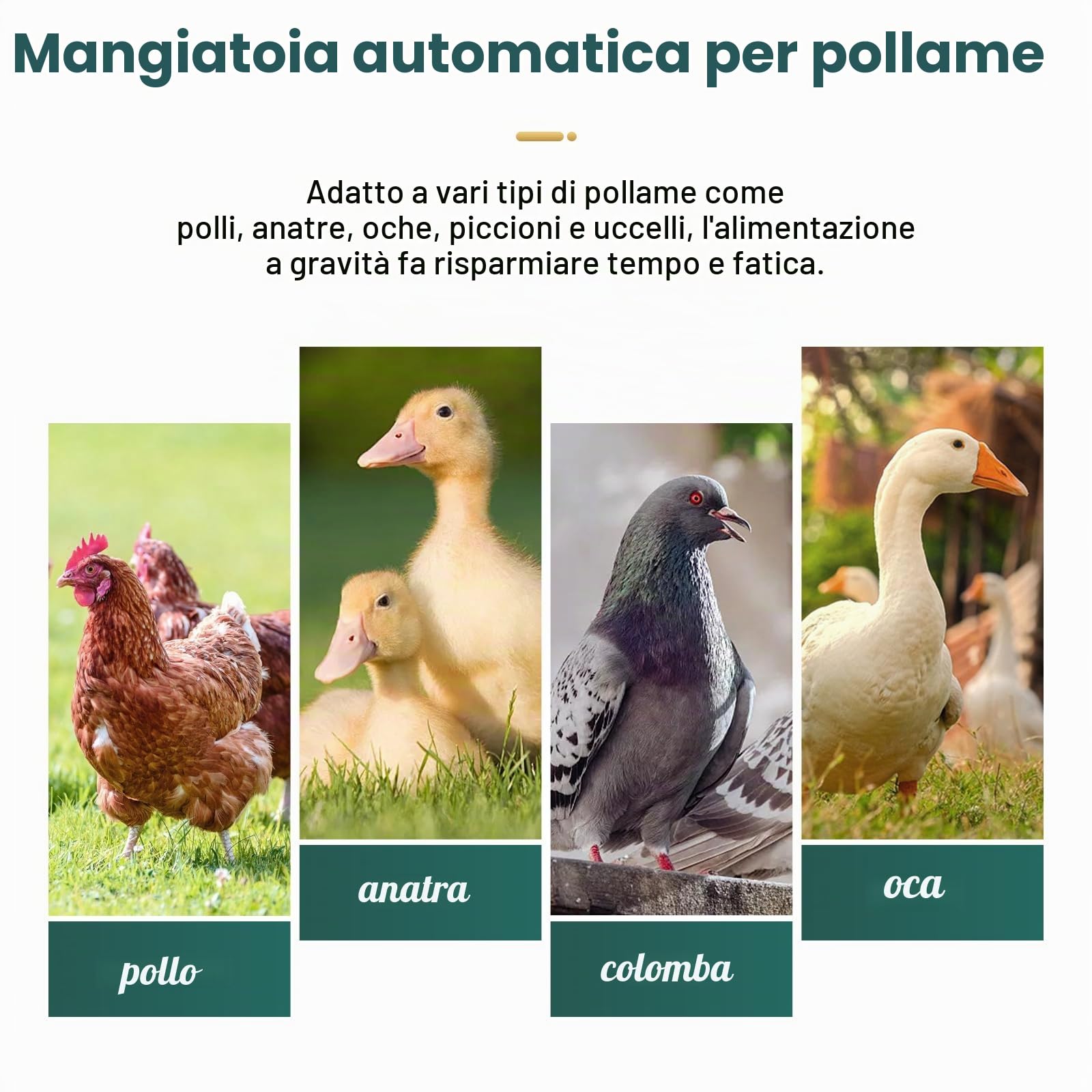 25LB Mangiatoia Automatica per Polli in Acciaio Inox Mangiatoia per Polli da Appendere Appesa con Pala e Coperchio Alimentatore Automatico per Pollame Galline Anatre Tacchini