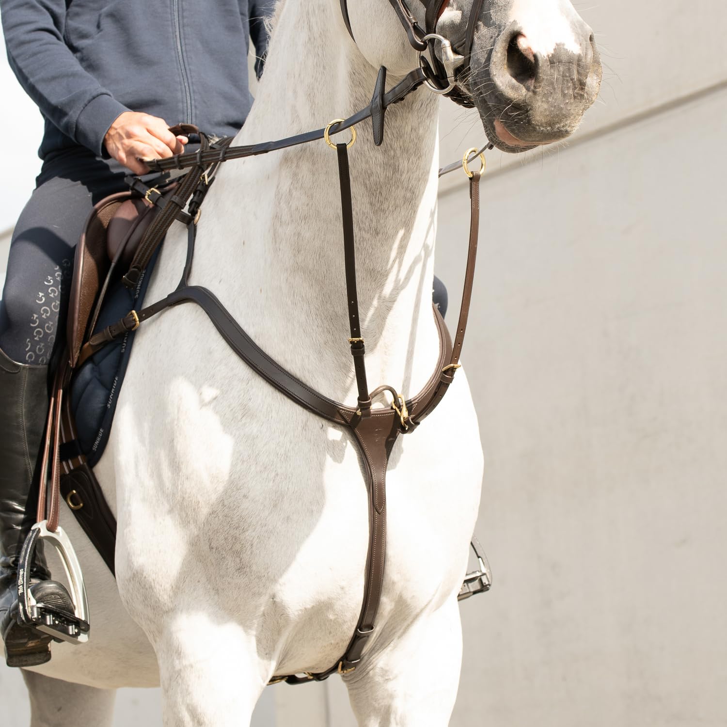 SUNRIDE Pechopetral Ascotde Cuero Genuino con martingala, para Caballos, utilizable como arnés de 5 Puntos y 3 Puntos (COB, marrón)
