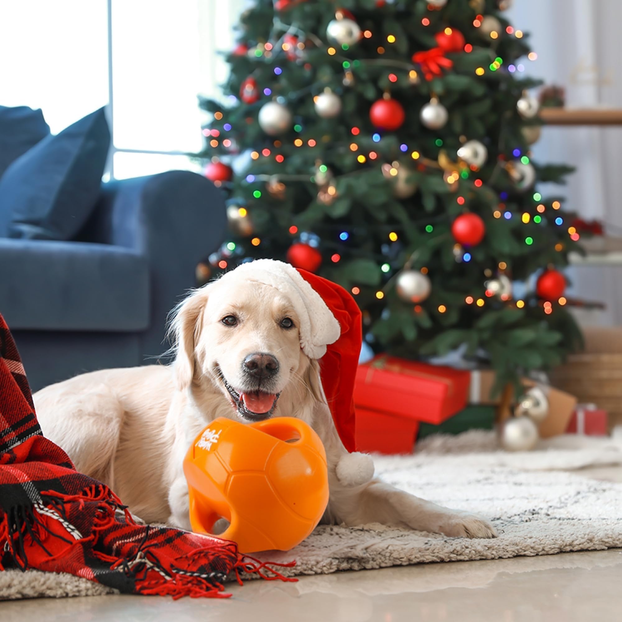 ALL FOR PAWS Hundeballspielzeug für mittelgroße & große Hunde, Hundebälle zum Tauziehen & Apportieren, Apportierspielzeug mit Griffen und Kicher-Quietscher, Orange