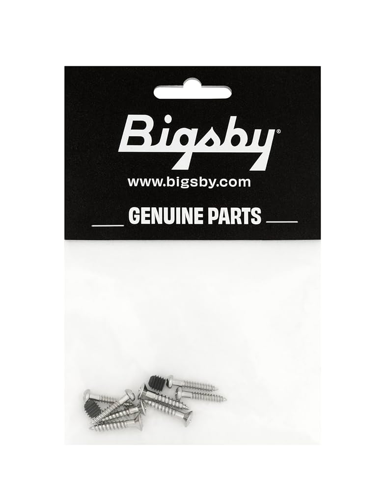 ビグスビーアームセット！ 10122109-1.jpg