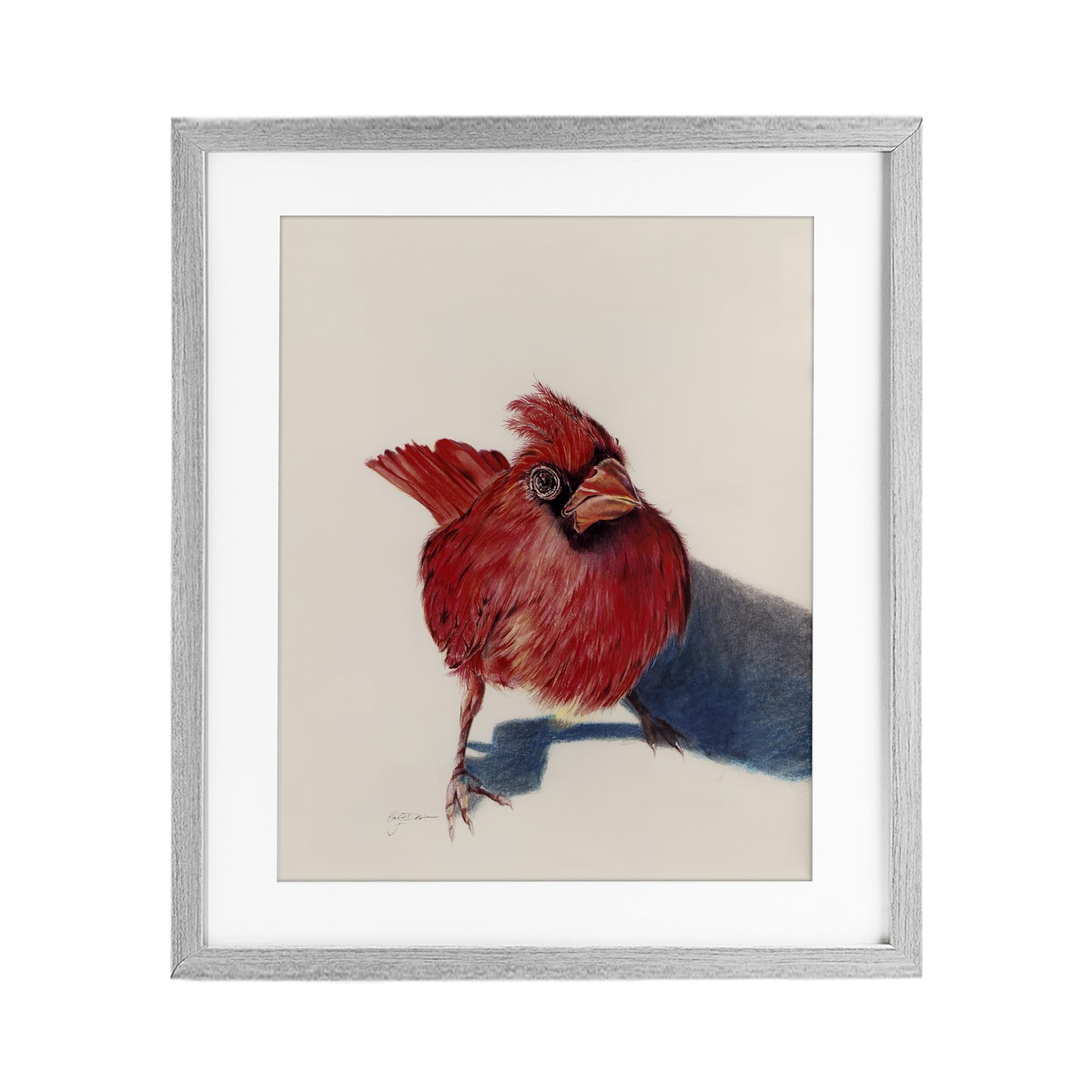Stupell Industries Standing Cardinal Bird Gray Framed Print Under Glass, design by Cady Driver, 21 x 17