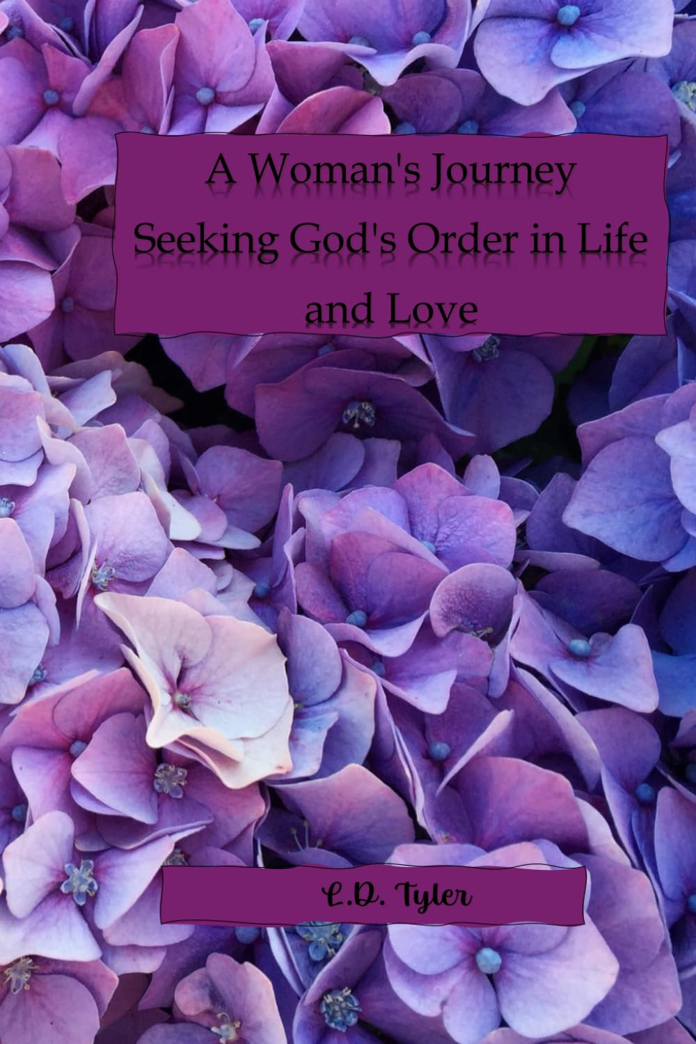 A Woman's Journey Seeking God's Order in Life and Love