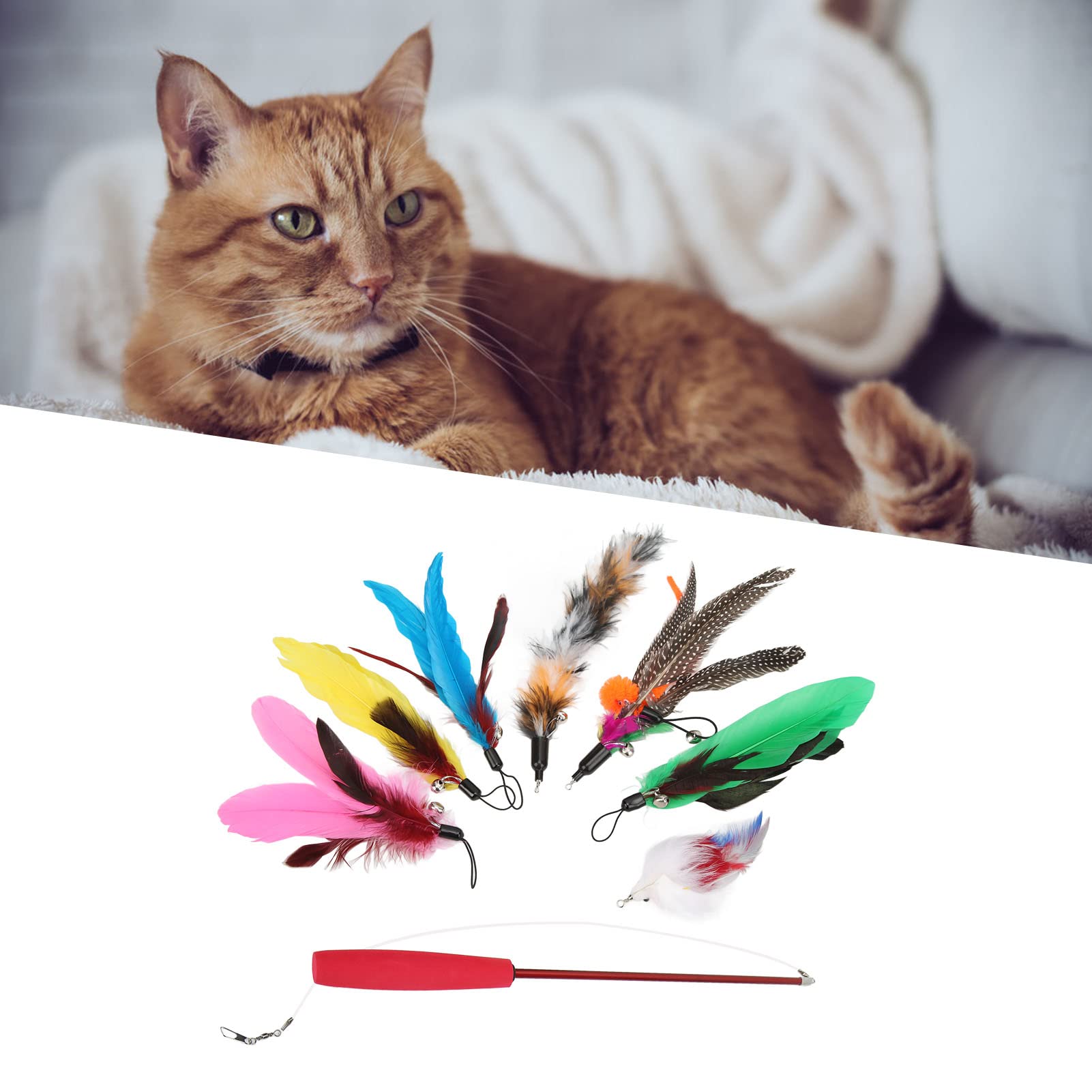 Baguette en Plumes de Chat, Jouet rétractable, 3 Sections, Jouet interactif en Plumes pour Chats et Chatons, 9 pièces