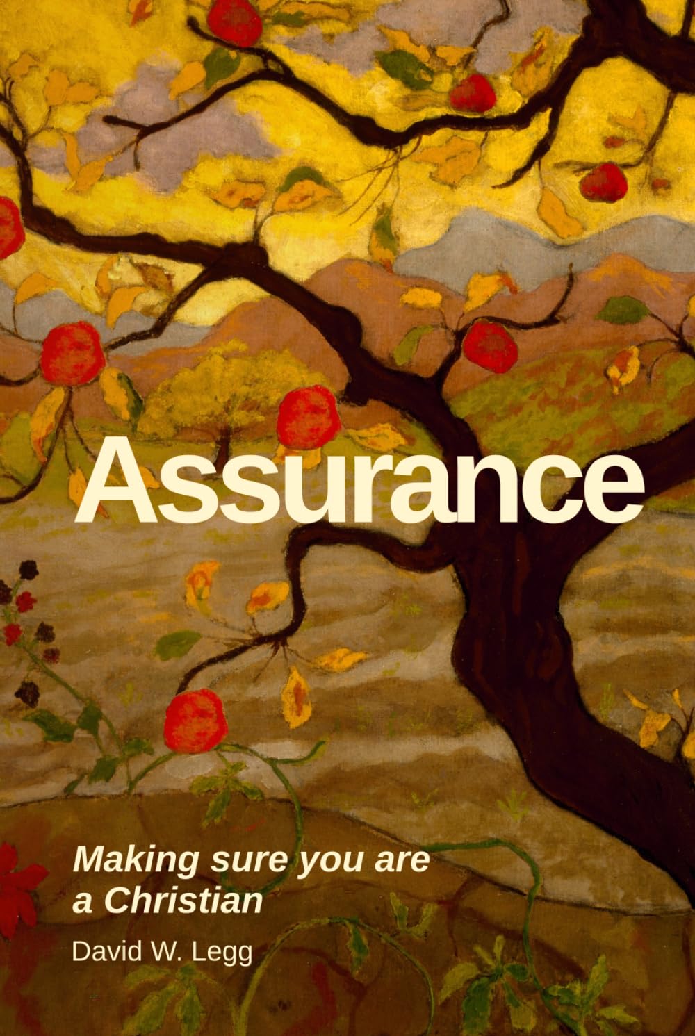 Assurance: Making sure you are a Christian (Biblical Studies)