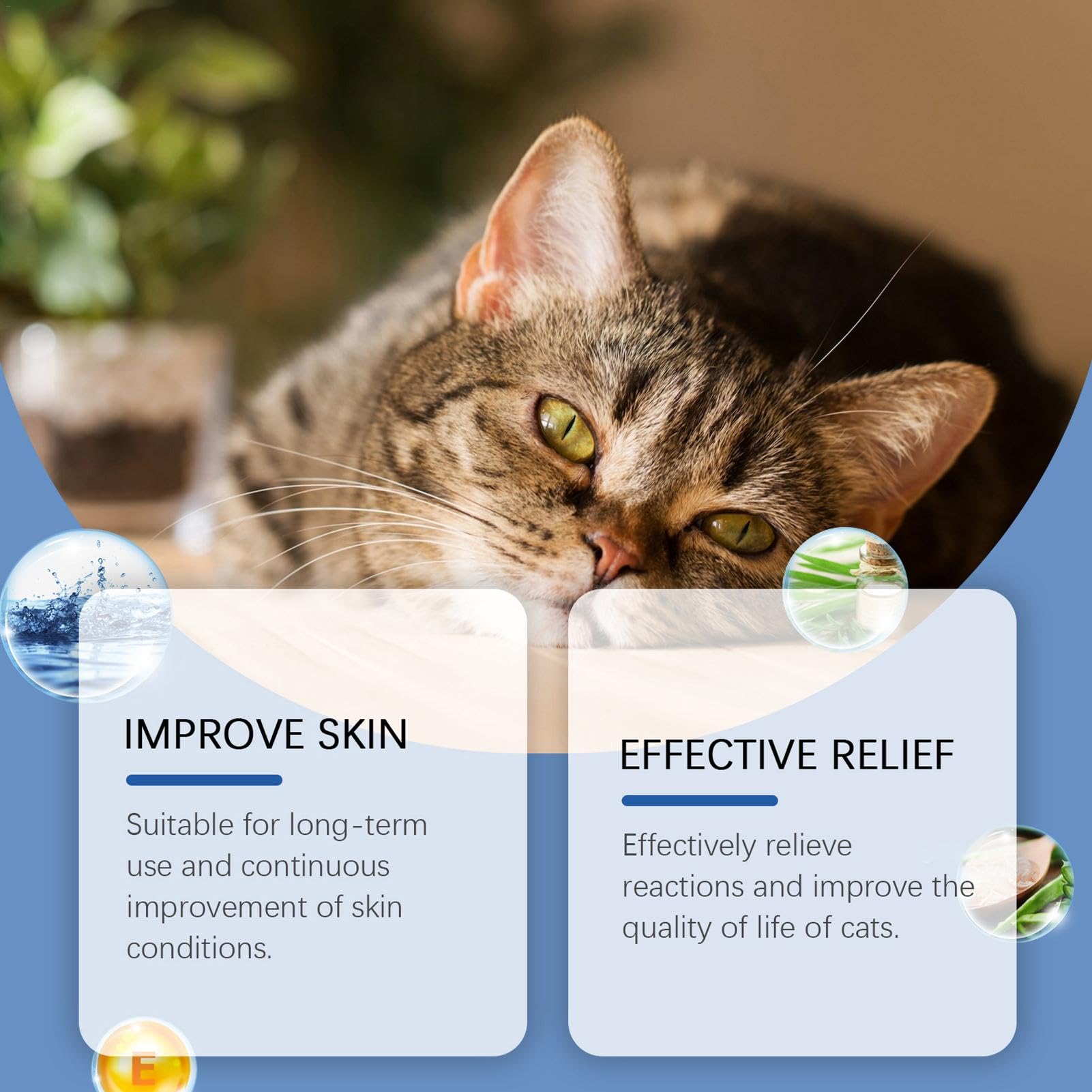 Soulagement de la peau sèche pour les chats, soins de la peau des chats, Spray anti-démangeaisons pour chat, 100 ml, Guérisseur naturel des plaies de chat, soulagement des points chauds, liquide