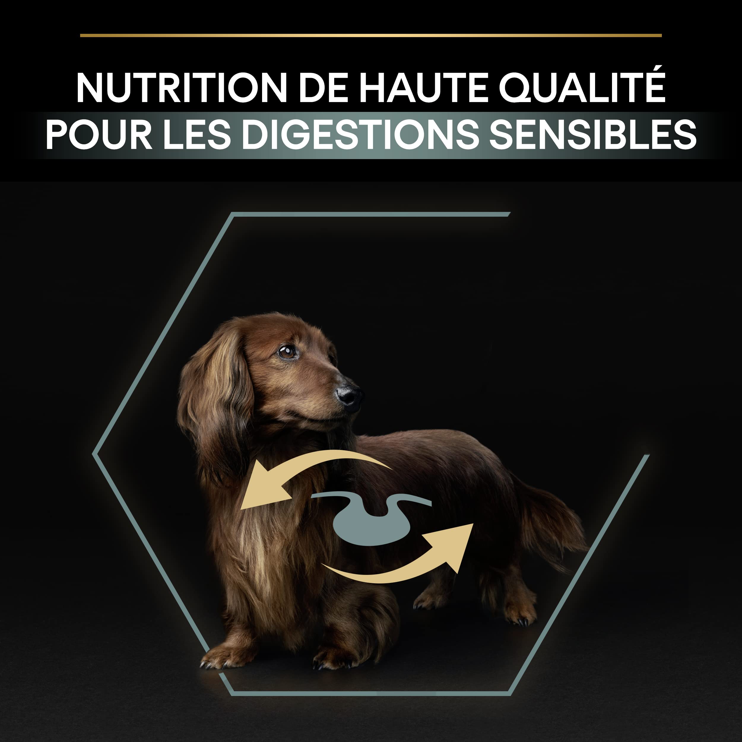 Purina Pro Plan Perro Small Y Mini con Optidigest Cordero 3 kg (Paquete de 1)