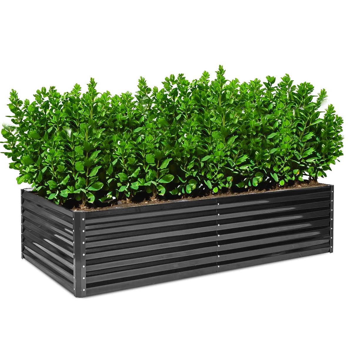 Raised Garden Bed 8x4x2FT, Galvanized Magnesium Aluminum Raised Planter Box, Metal Raised Bed Garden Large Planter Bed for Vegetables, Flowers, Herbs, and Succulents(Black)