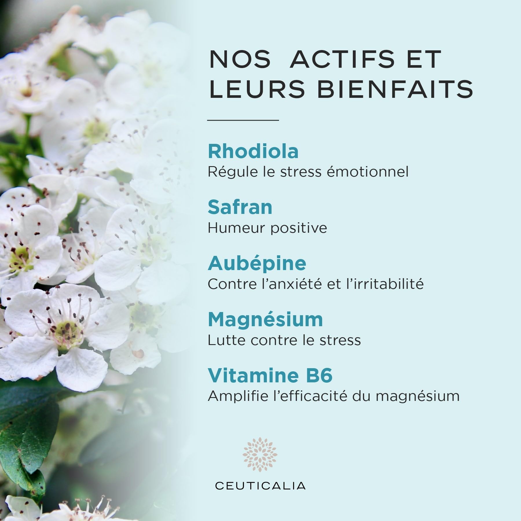 Complément Alimentaire Stress et Humeur - Anti Stress et Anxiété, Favorise Bien Etre et Relaxation - Pour Adulte - Magnésium, Vitamine B6, Safran, Rhodiola, Aubépine - 180 Gélules, 90 Jours