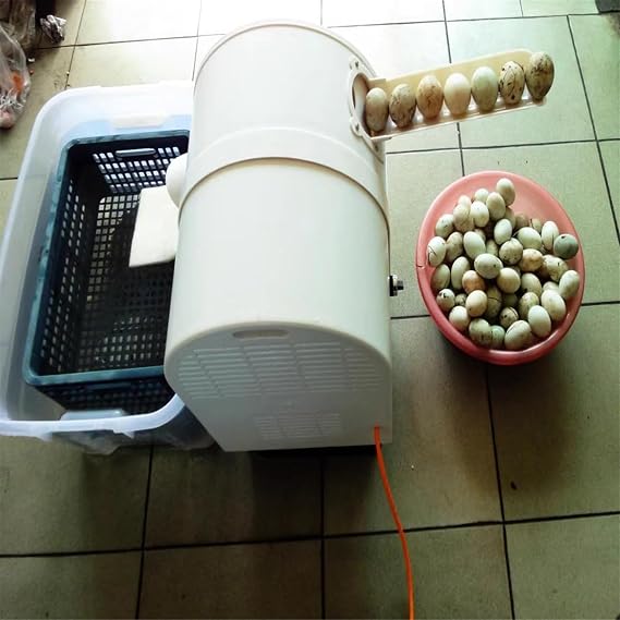 Electric Egg Washing Machine, Egg Washer Machine, Automatic Egg Washer Machine, 2300 Pcs/H Chicken Duck Goose Egg Egg Cleaner Wash Machine (Color : 110V)