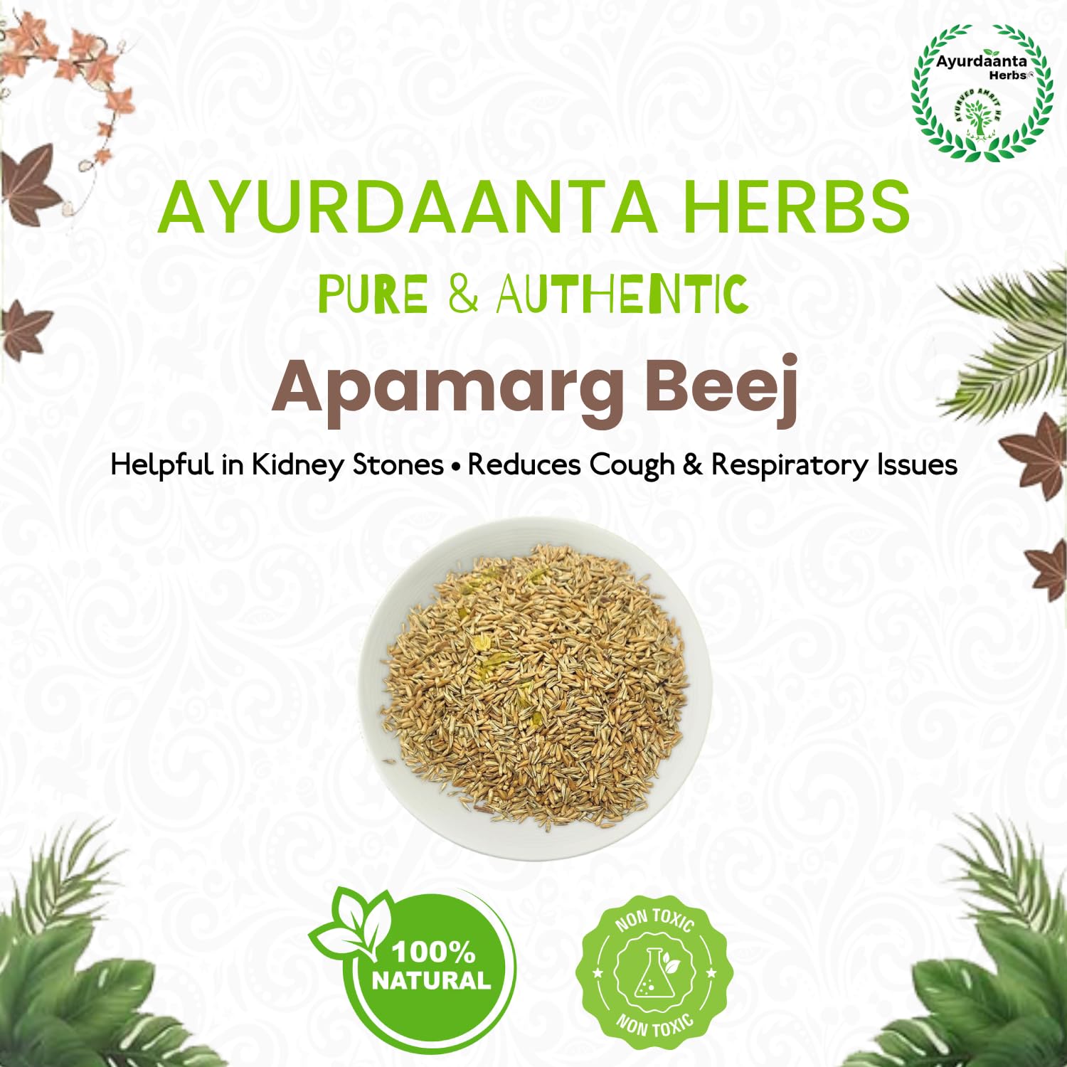 Ayurdaanta Herbs - Apamarg Beej/Apamarg Seeds(EADIBLE-GRADE-1)| Edible Apamarg Seeds| Latjira Beej| Chirchita| Latjeera | Uttareni Seeds | आपमार्ग बीज(खाने योग्य)| चिरचिटा बीज | लटजीरा बीज (200Gr) 3