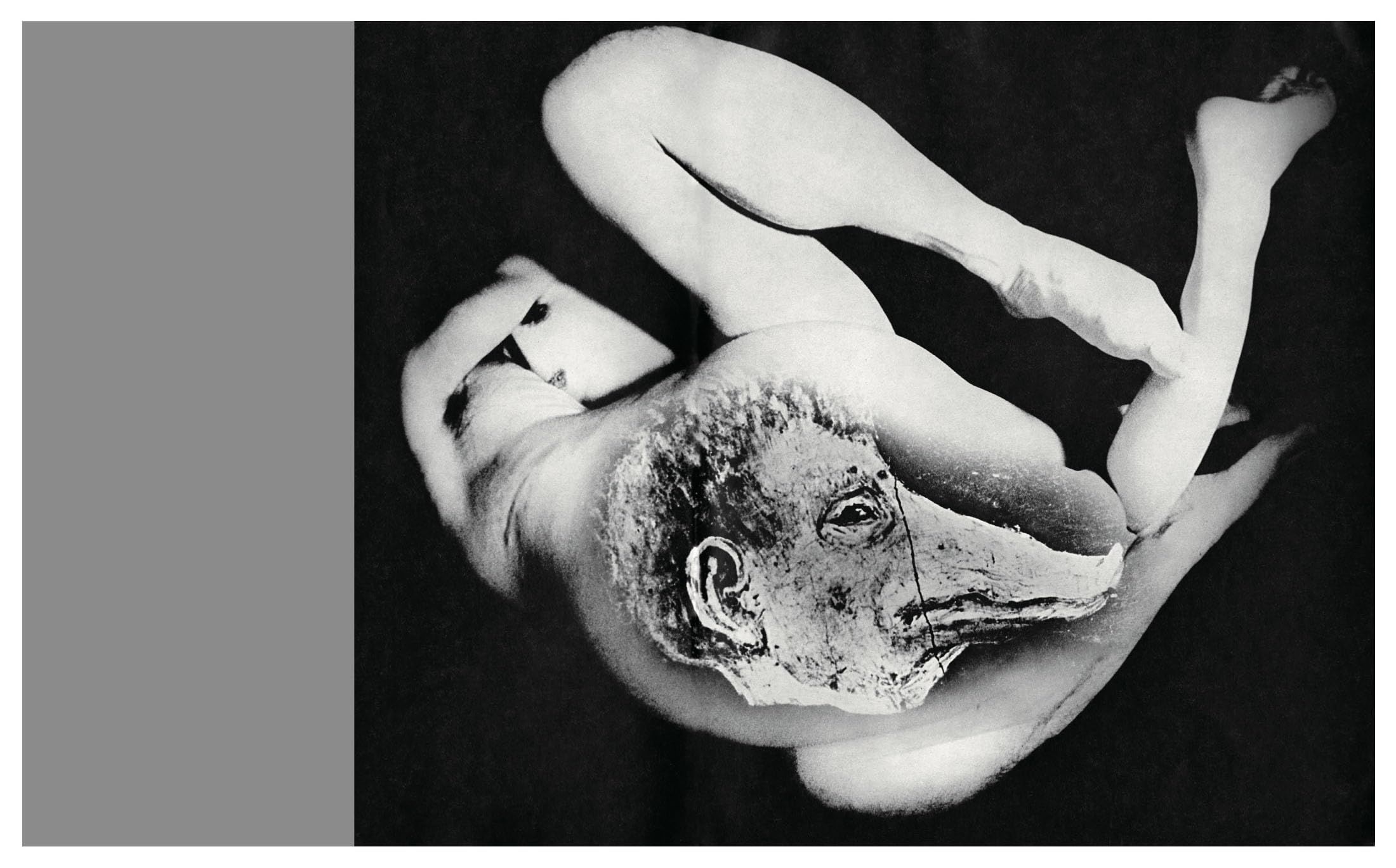 Masahisa Fukase - Homo Ludens