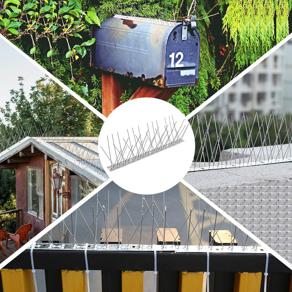 Dissuasori per Piccioni 10M, Spuntoni Anti Uccelli in Acciaio Inox, Dissuasore per Piccioni Balcone, Tetto, Finestra, Recinzione