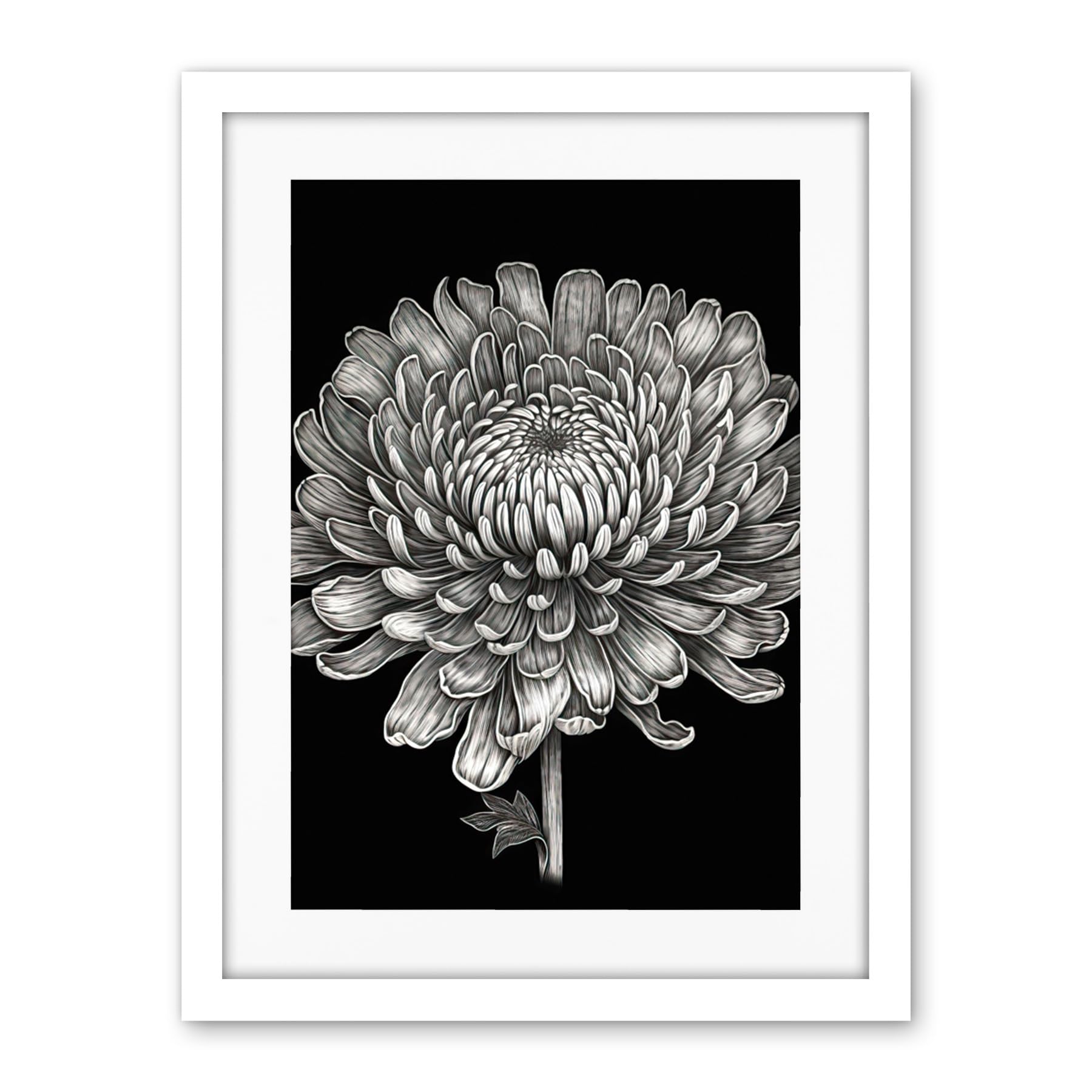 Artery8 Detailed Chrysanthemum Flower Bloom Illustration Artwork Framed Wall Art Print 18X24 Inch