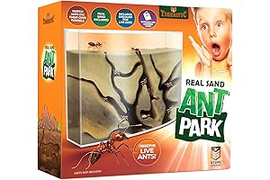 Live Ant Farm for Kids with Premium Ant Farm Sand Colony