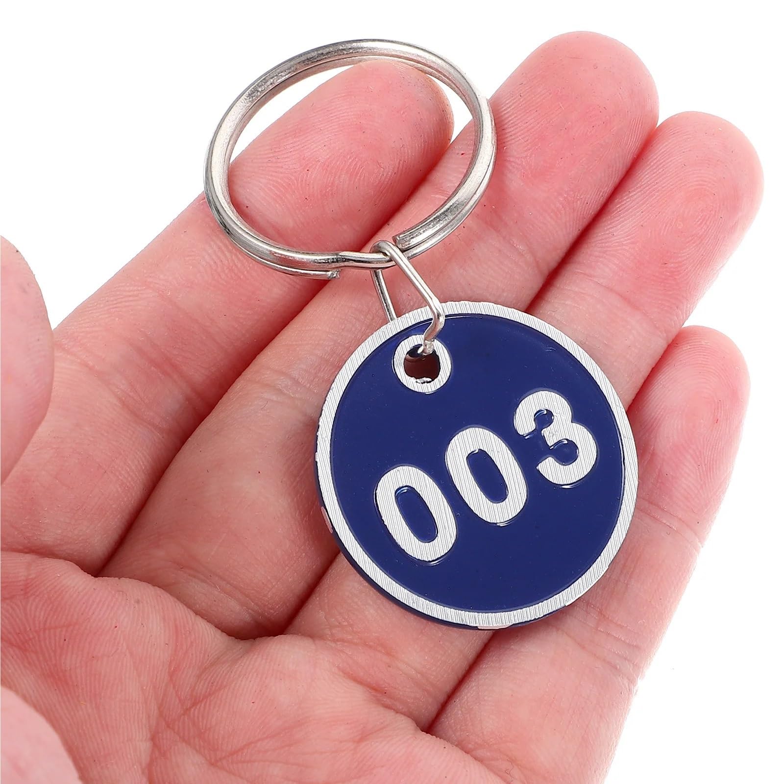 Etichette Con Numeri In Metallo Numero Di Anelli for Portachiavi In ​​lega Gialla Da 100 Pezzi for Appendere Etichette Identificazione Leggere Portatili Per Scuola,Casa, Chiavi(1-100)