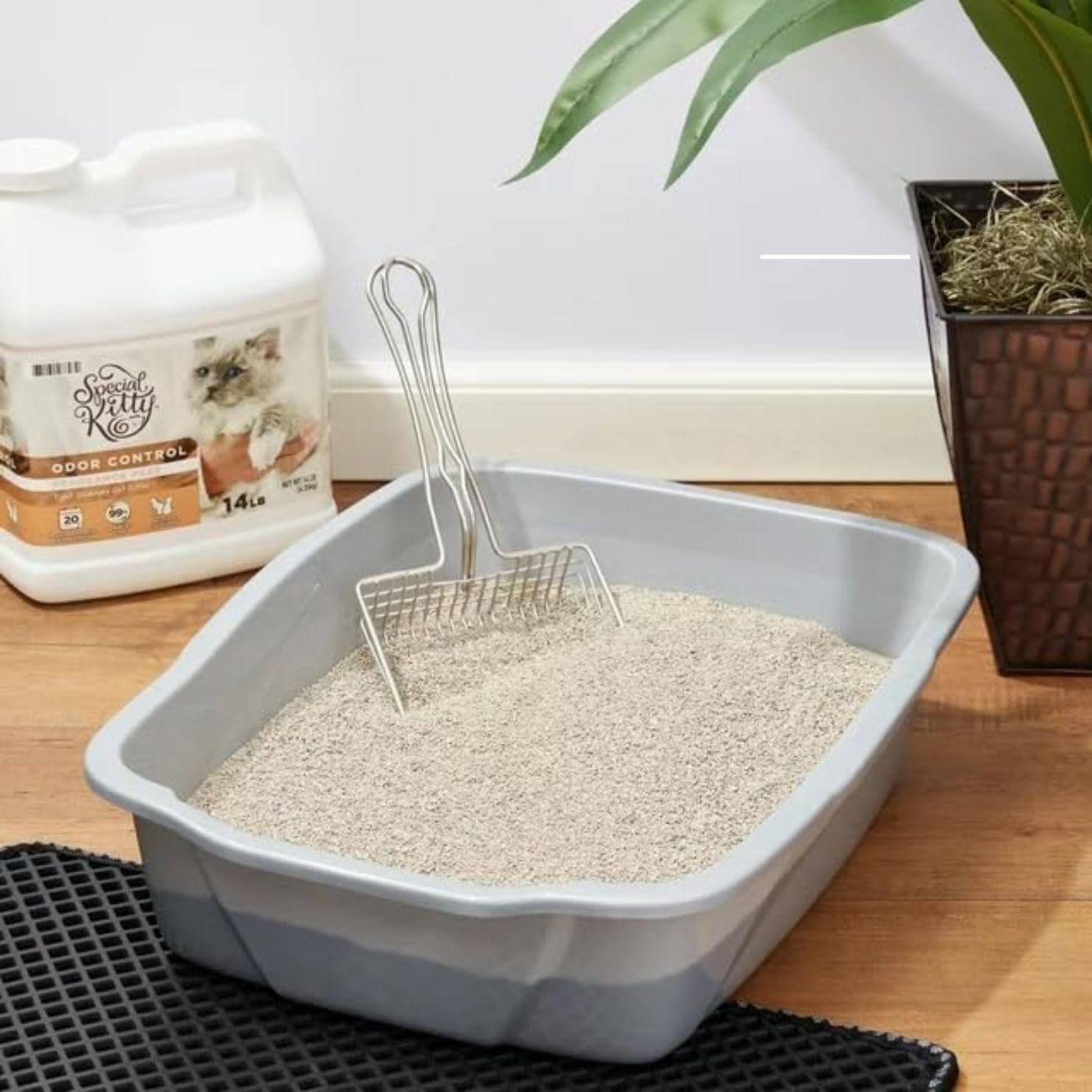 Special Kitty Scoopable Tight Clumping Cat Litter 14 lb Unscented Odor Control Formula for Multiple Cats, Long-Lasting Absorption and Easy Clean Kitty Litter for Home Pet Supplies and Cat Care