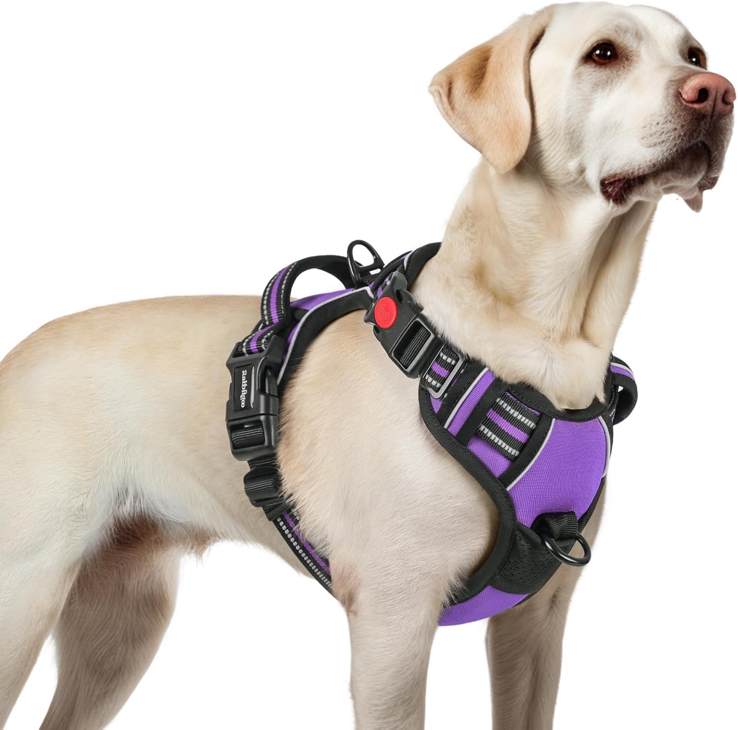 rabbitgoo No Pull Dog Harness for Large Dogs L Purple - Adjustable 3 Buckle Soft Padded Vest with Handle & Reflective Strips