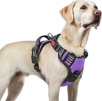 rabbitgoo No Pull Dog Harness for Large Dogs L Purple - Adjustable 3 Buckle Soft Padded Vest with Handle & Reflective Strips