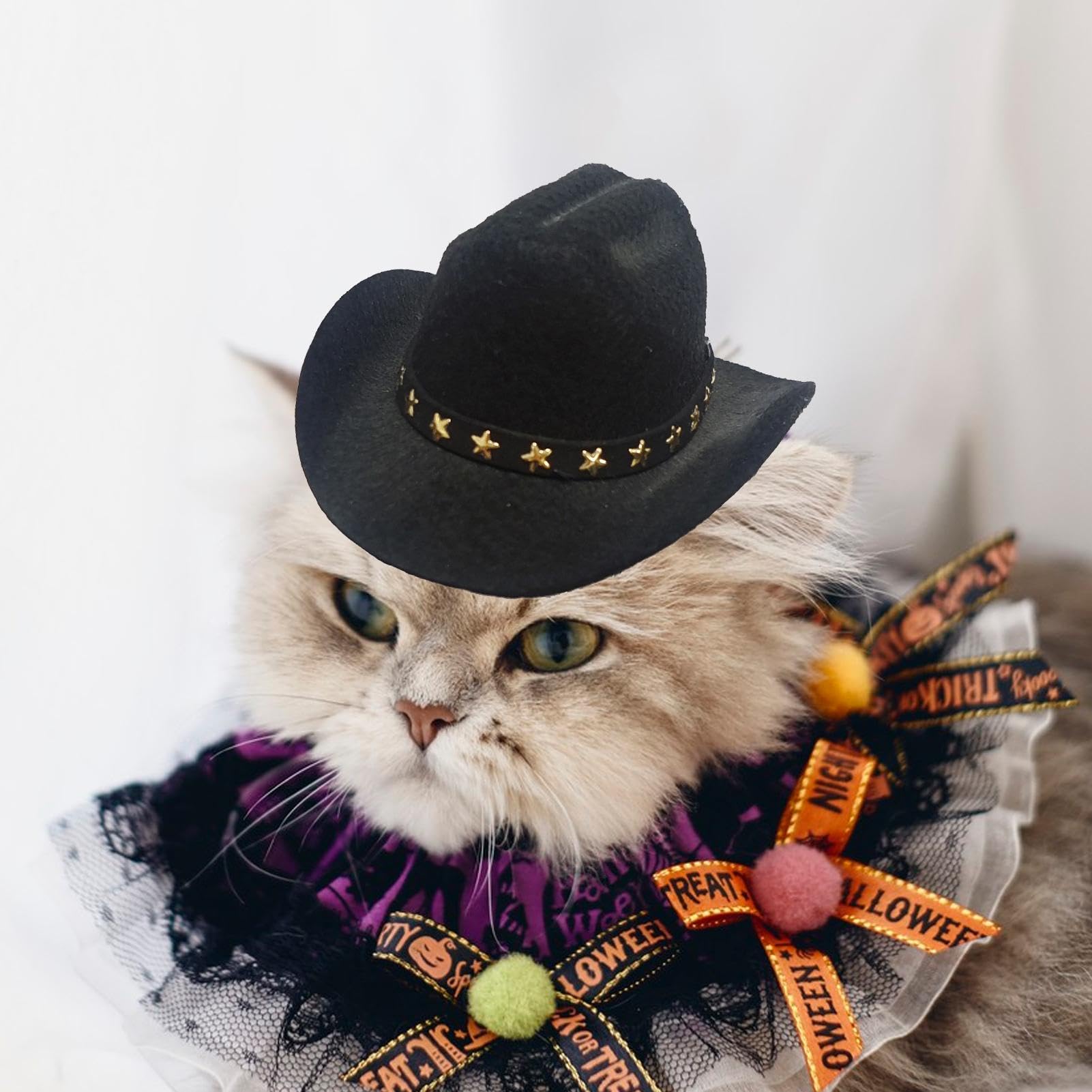 Costume Halloween Per Cani E Gatti - Cappello Zucca E Bandana, Regolabile, Morbido, Per Taglie Piccole, Medie E Grandi